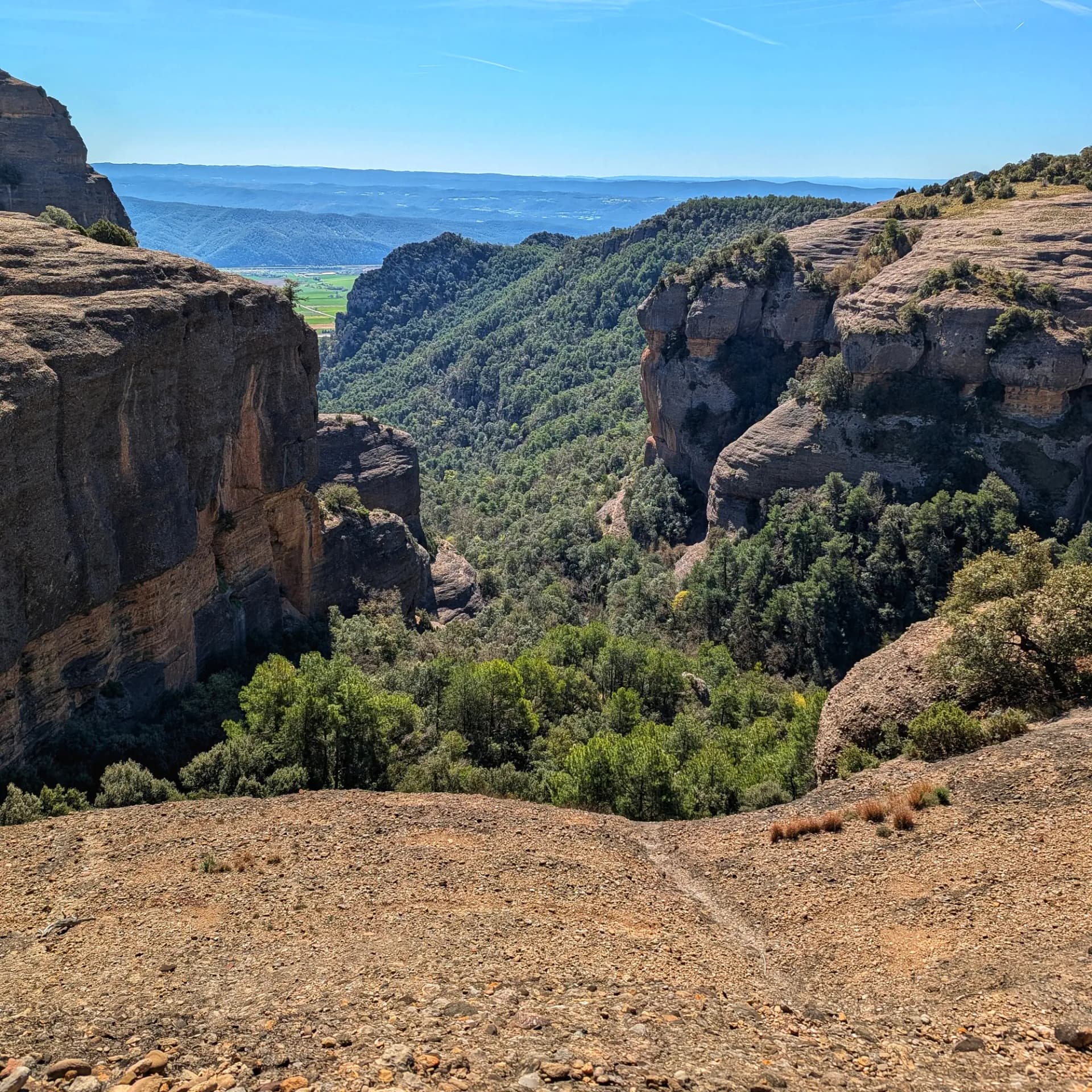 Vista aèria d'un profund barranc amb imponents formacions rocoses de conglomerat, bosc dens i cel blau clar.