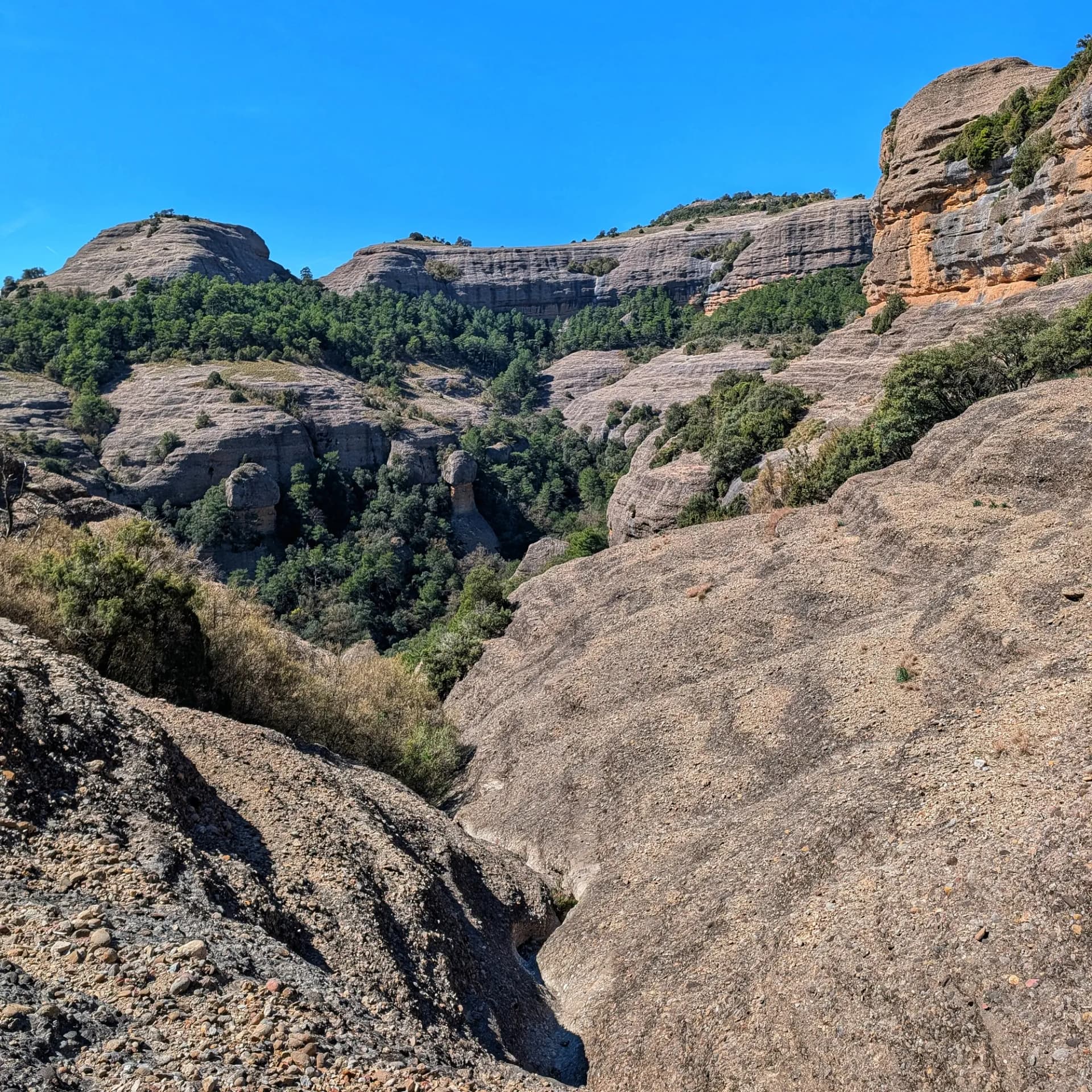 Vista panoràmica de paisatge de conglomerat amb barrancs profunds, vegetació verda i cel blau clar.