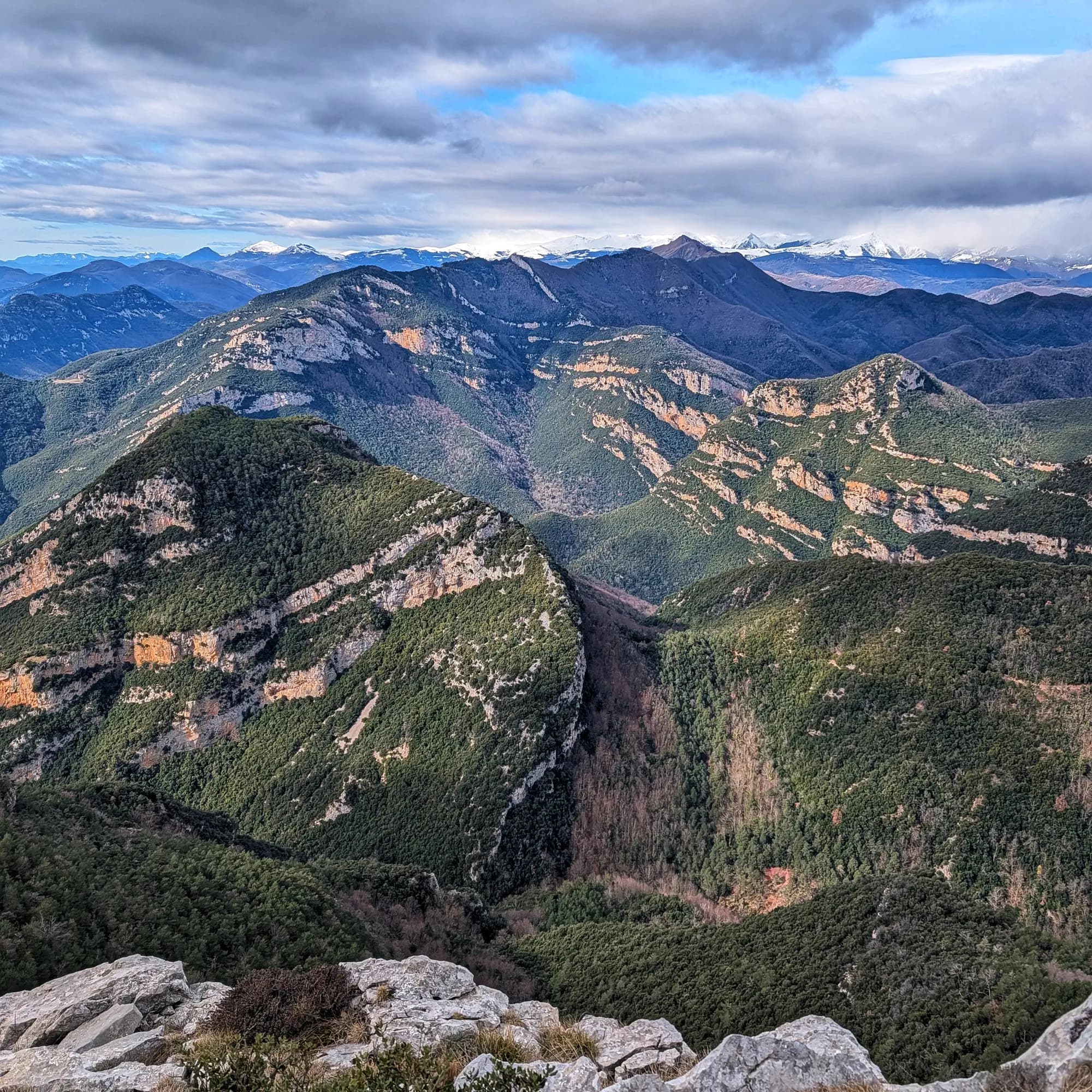Panoràmica de l'Alta Garrotxa amb el Comanegra al fons, presa durant la baixada del Bassegoda.