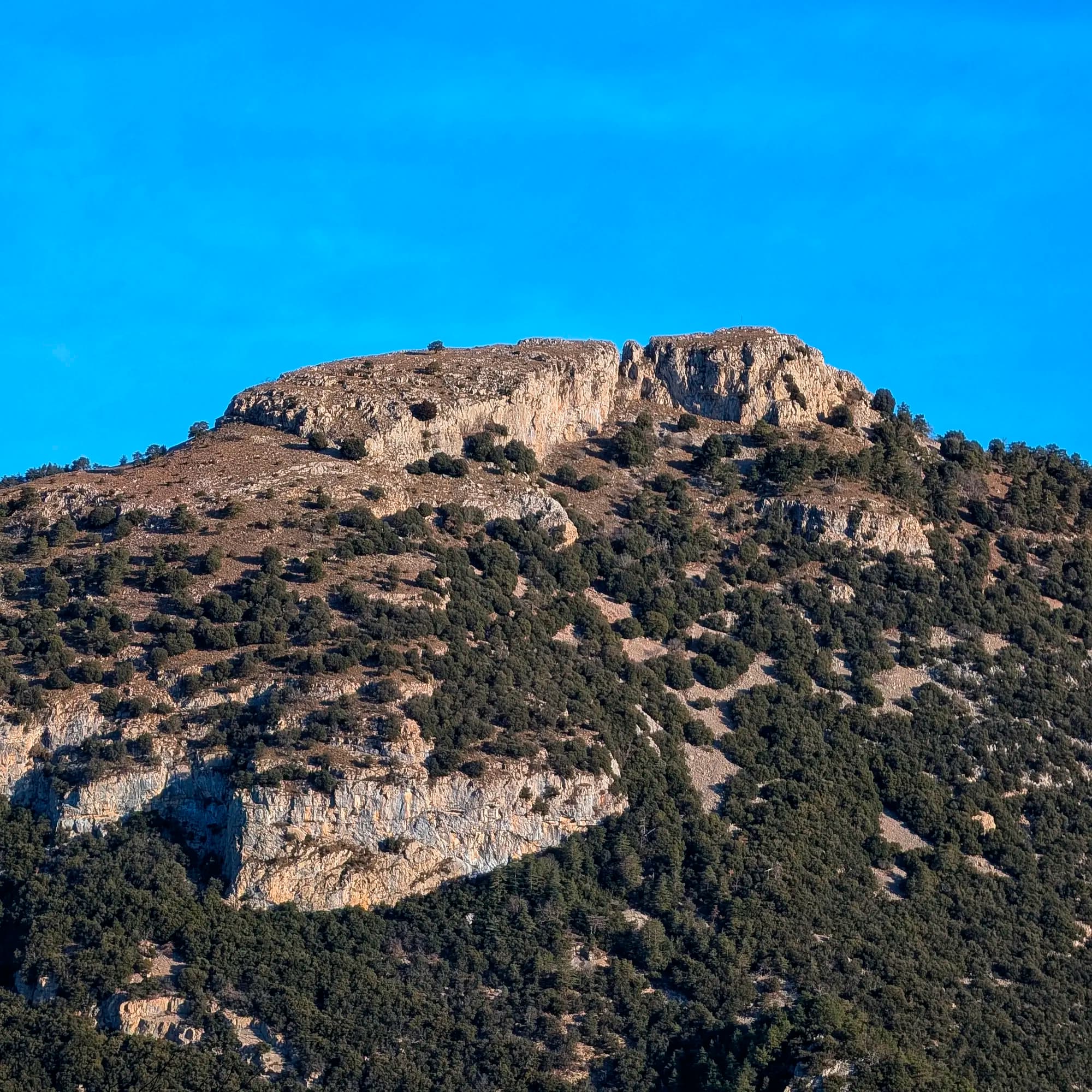 Vista panoràmica de la muntanya Bassegoda amb cims i vegetació.