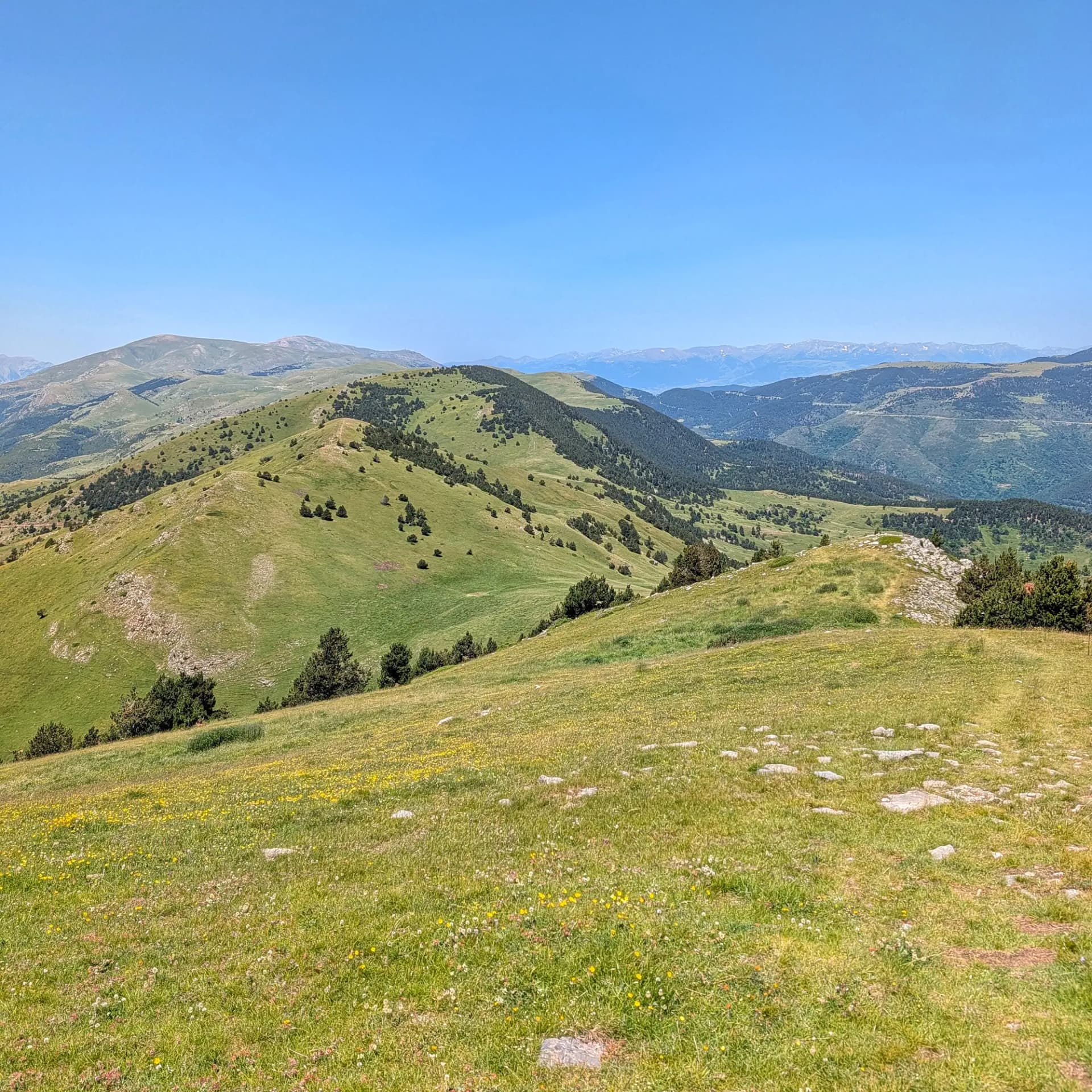 A breathtaking view of the rolling green mountains and valleys under a clear blue sky. This scene captures the hike from Santuari de Montgrony towards Costa Pubilla (or Pla de Pujals). Vast mountain landscape with green grassy slopes, scattered pine trees, and distant peaks under a clear blue sky.