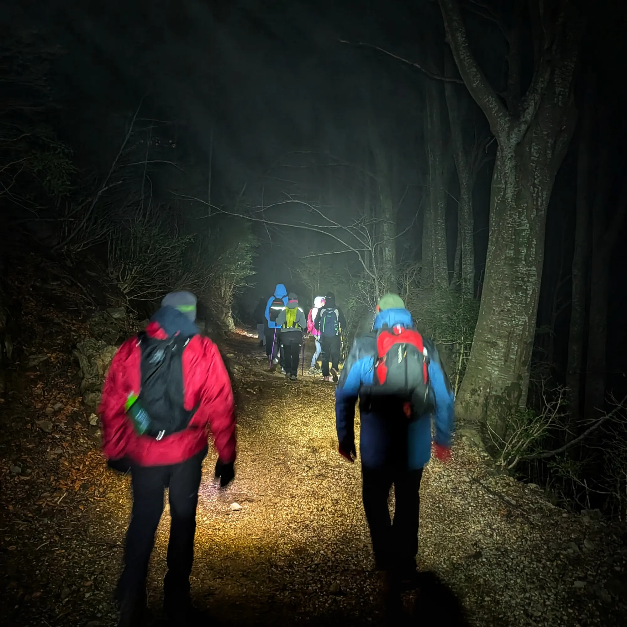 Paisatge de muntanya amb camí que descendeix de Puig Cornelis cap a Sant Privat d'en Bas.