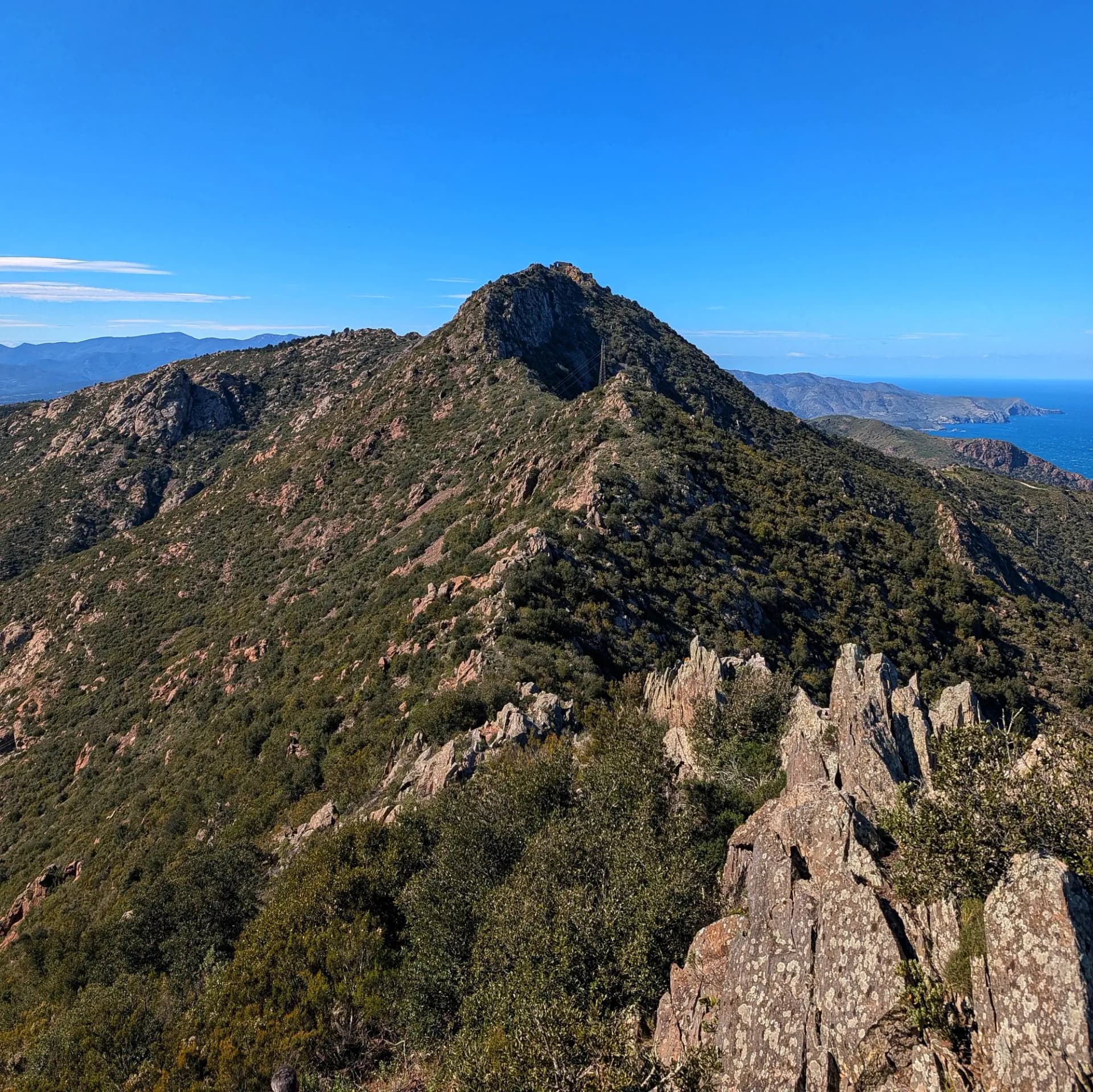 Ruïnes del Castell de Verdera sobre un cim rocós i arbustiu de la Serra de Rodes, amb el mar de fons i cel blau clar.