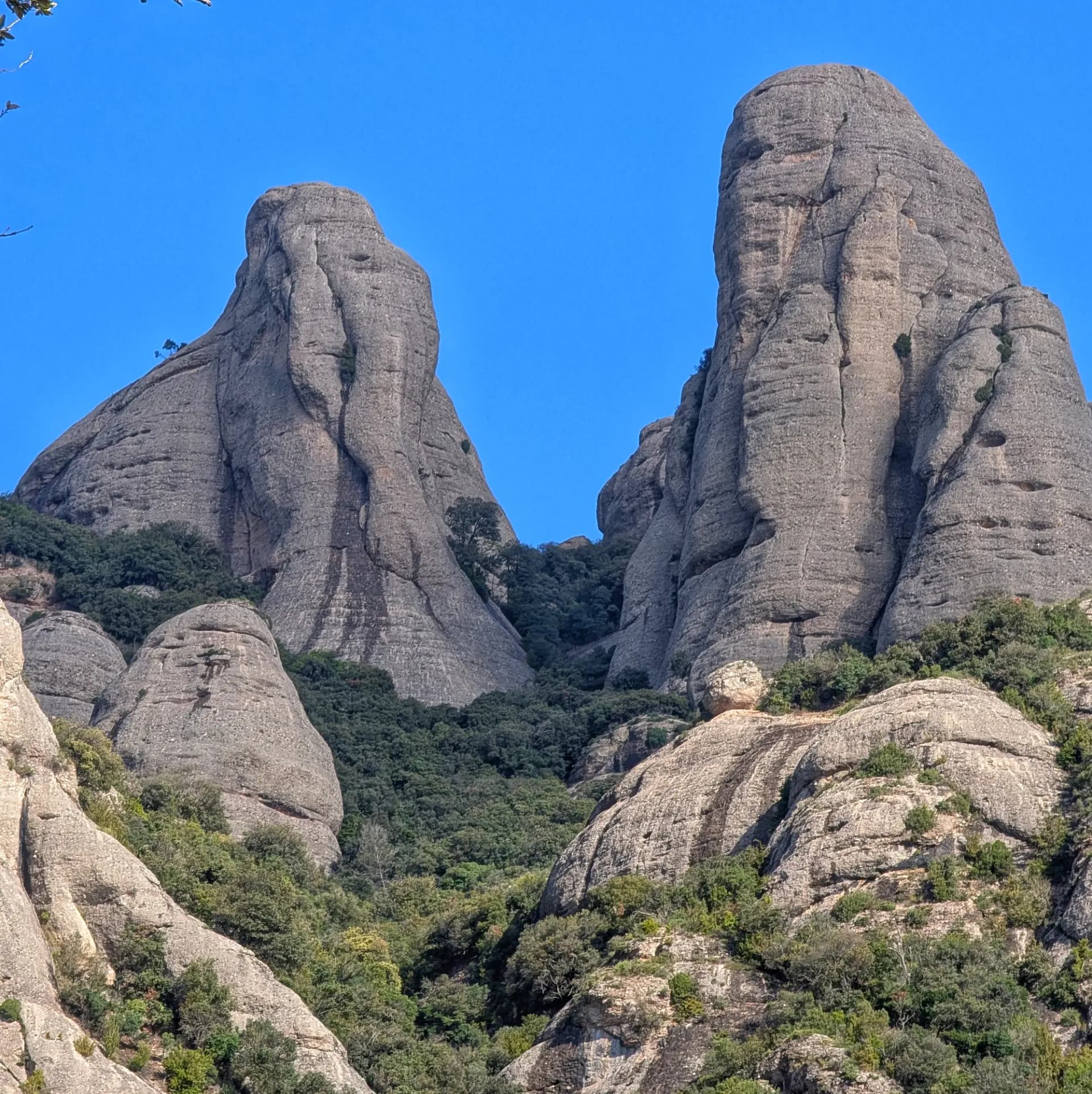 Two towering grey rock formations, one resembling an elephant, rise against a clear blue sky amidst green foliage.