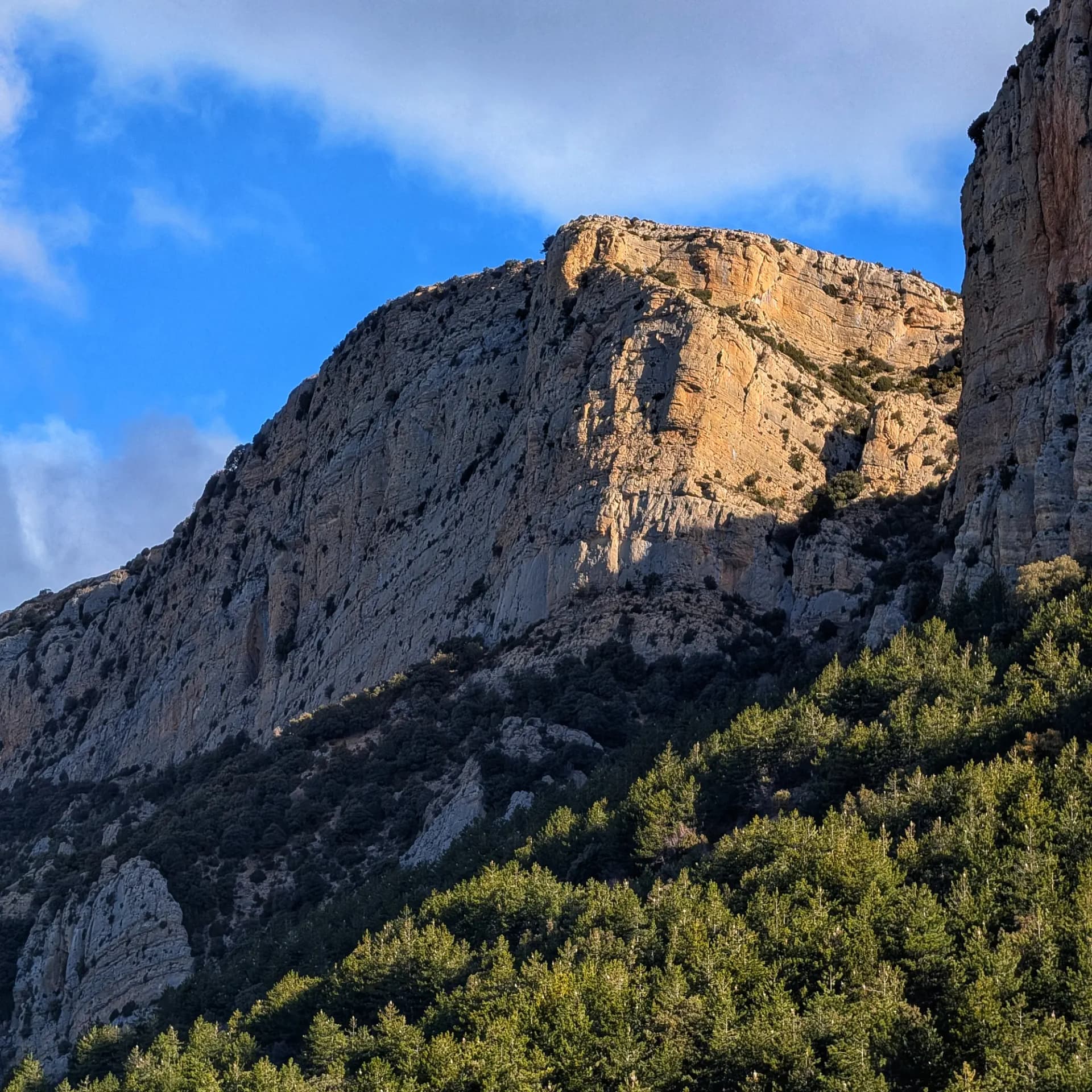 Imponente cara rocosa del Montsec de Rúbies con áreas iluminadas, bosque verde denso y cielo azul con nubes.