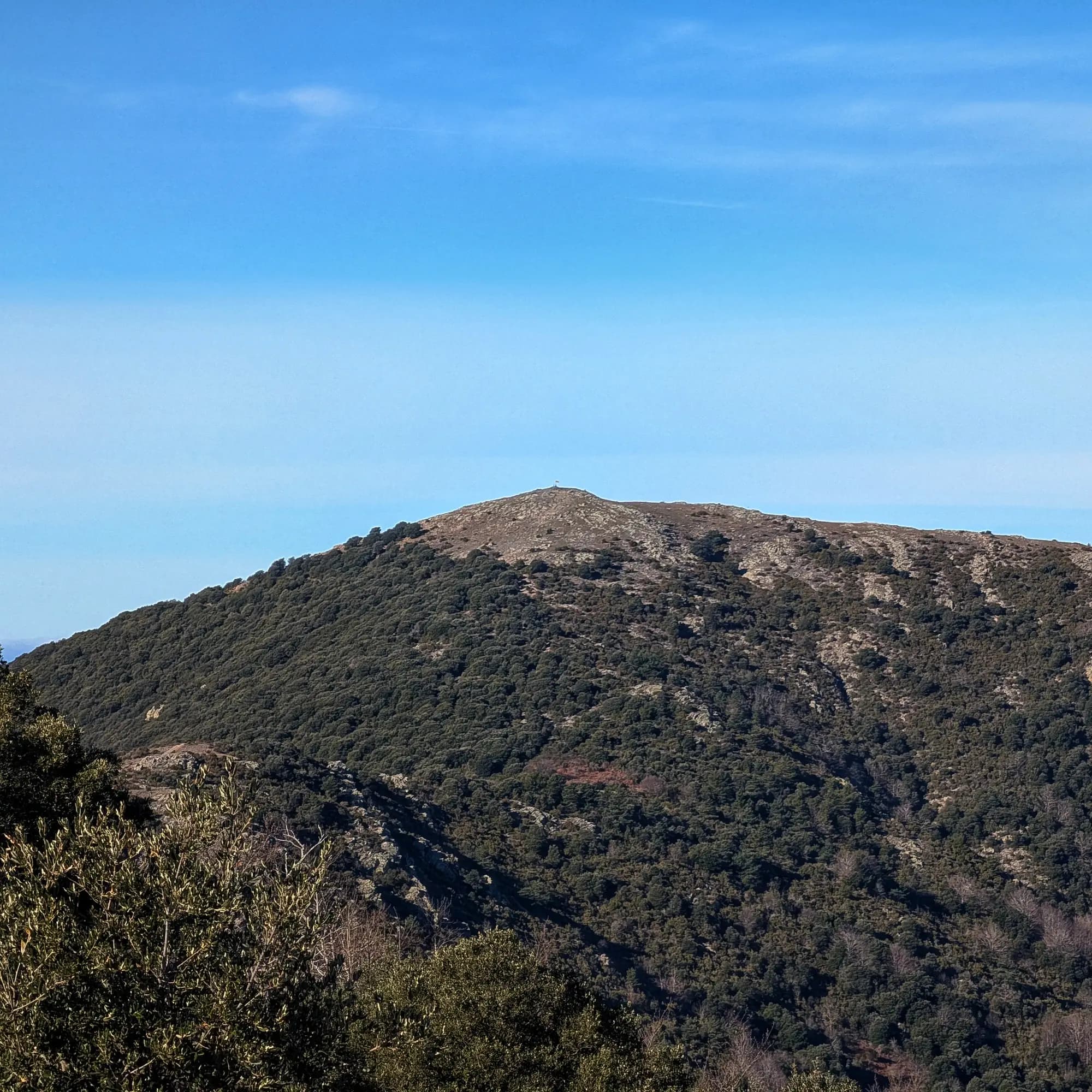 Cim del Sui vist des del Turó del Samont, paisatge natural.