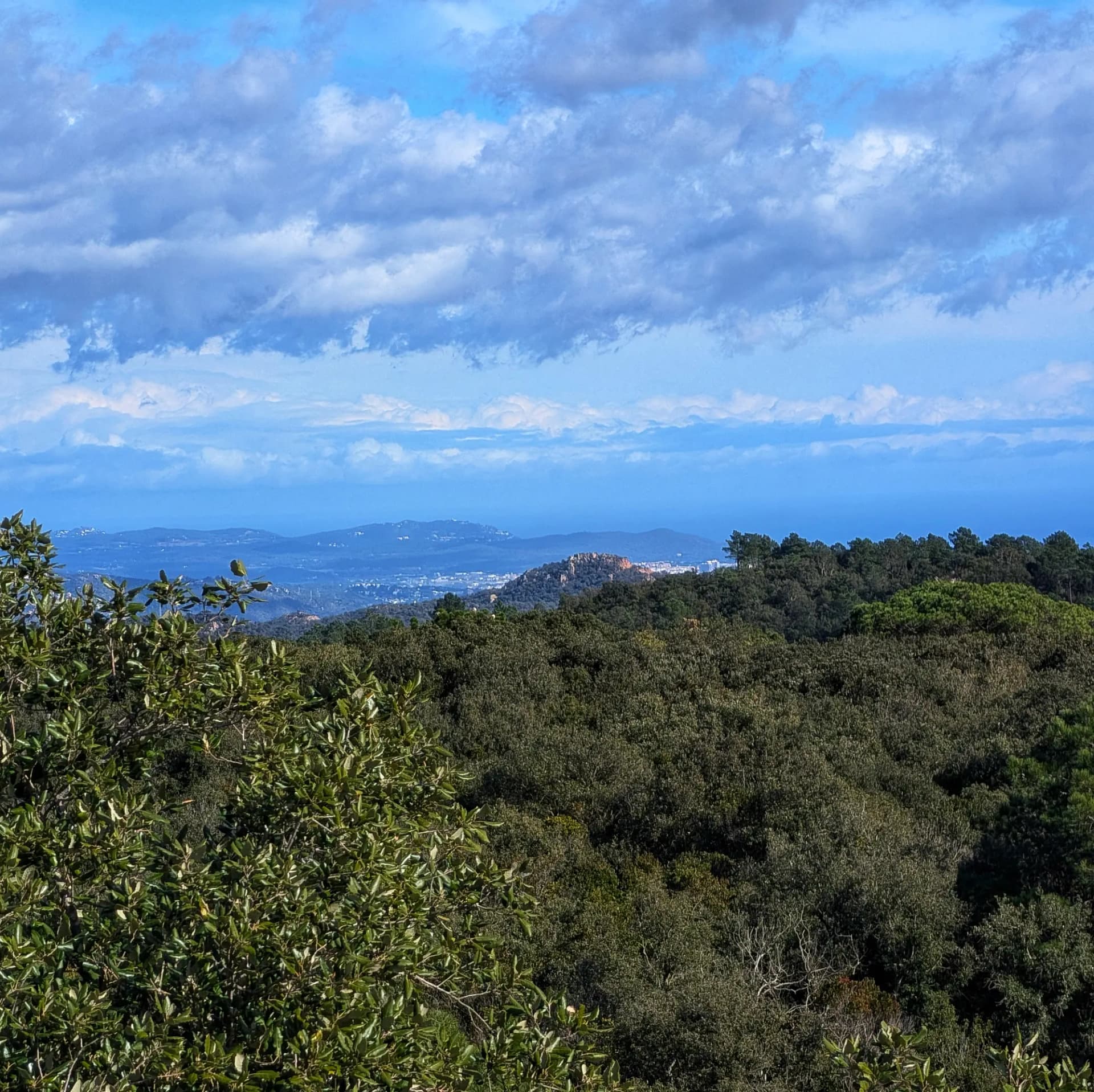 Vista panoràmica del Puig de les Cols, muntanya rocosa amb vegetació escassa, des del cim de Puig de ses Cadiretes.