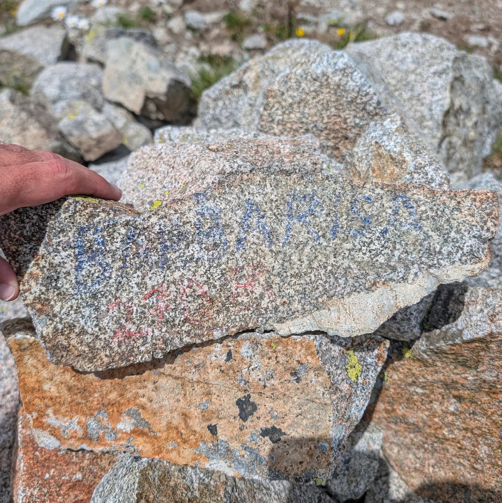 Primer pla d'una mà tocant una roca de granit gris amb taques blaves i vermelles, envoltada de roques i vegetació borrosa.