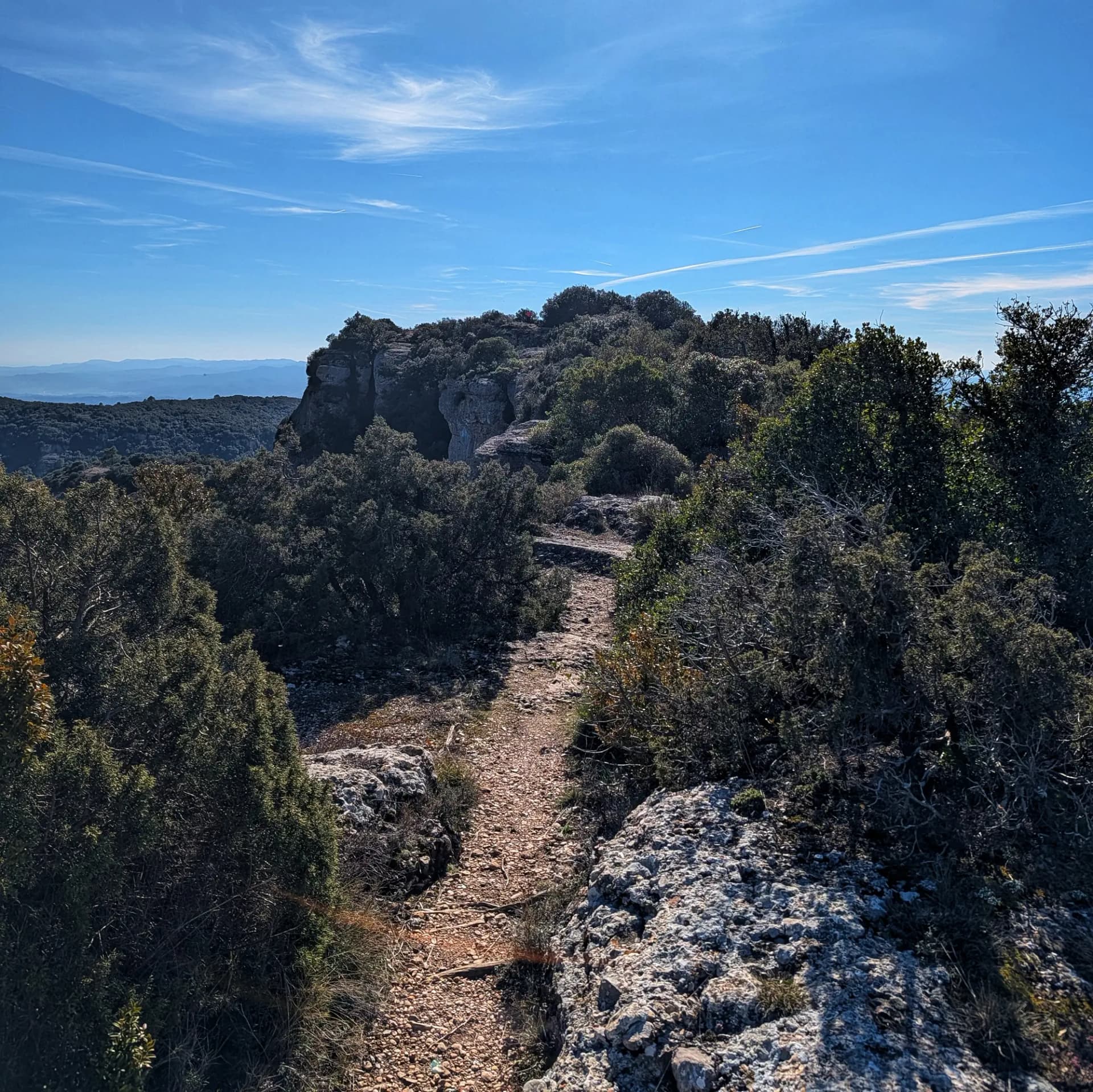 Sender rocós que serpenteja per matolls densos, amb formacions rocoses i muntanyes llunyanes sota cel blau.