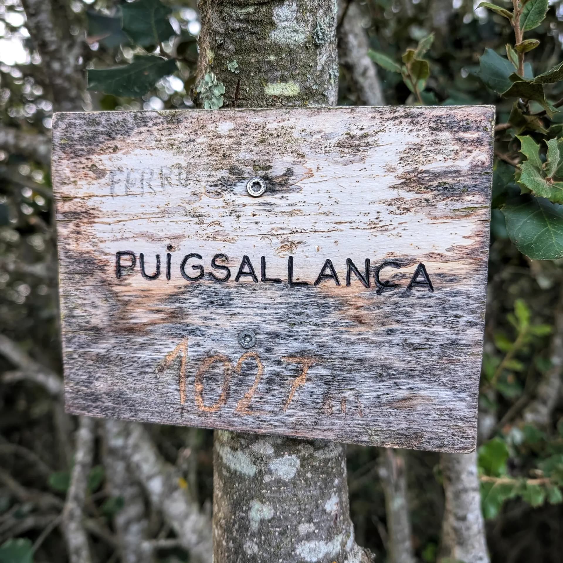 Detall del vèrtex geodèsic al cim.