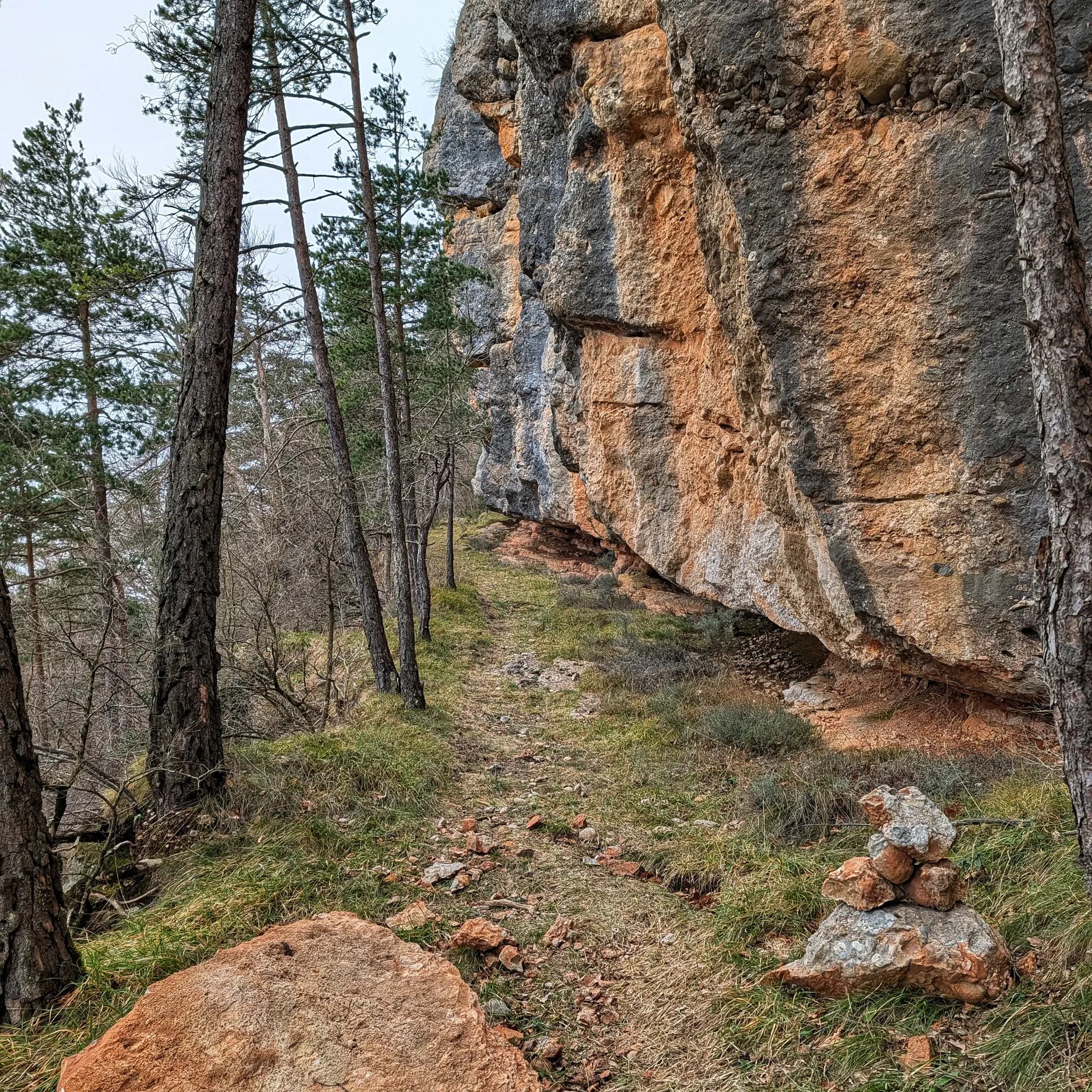 Baumes naturals sota el cingle de Tubau, formacions rocoses.
