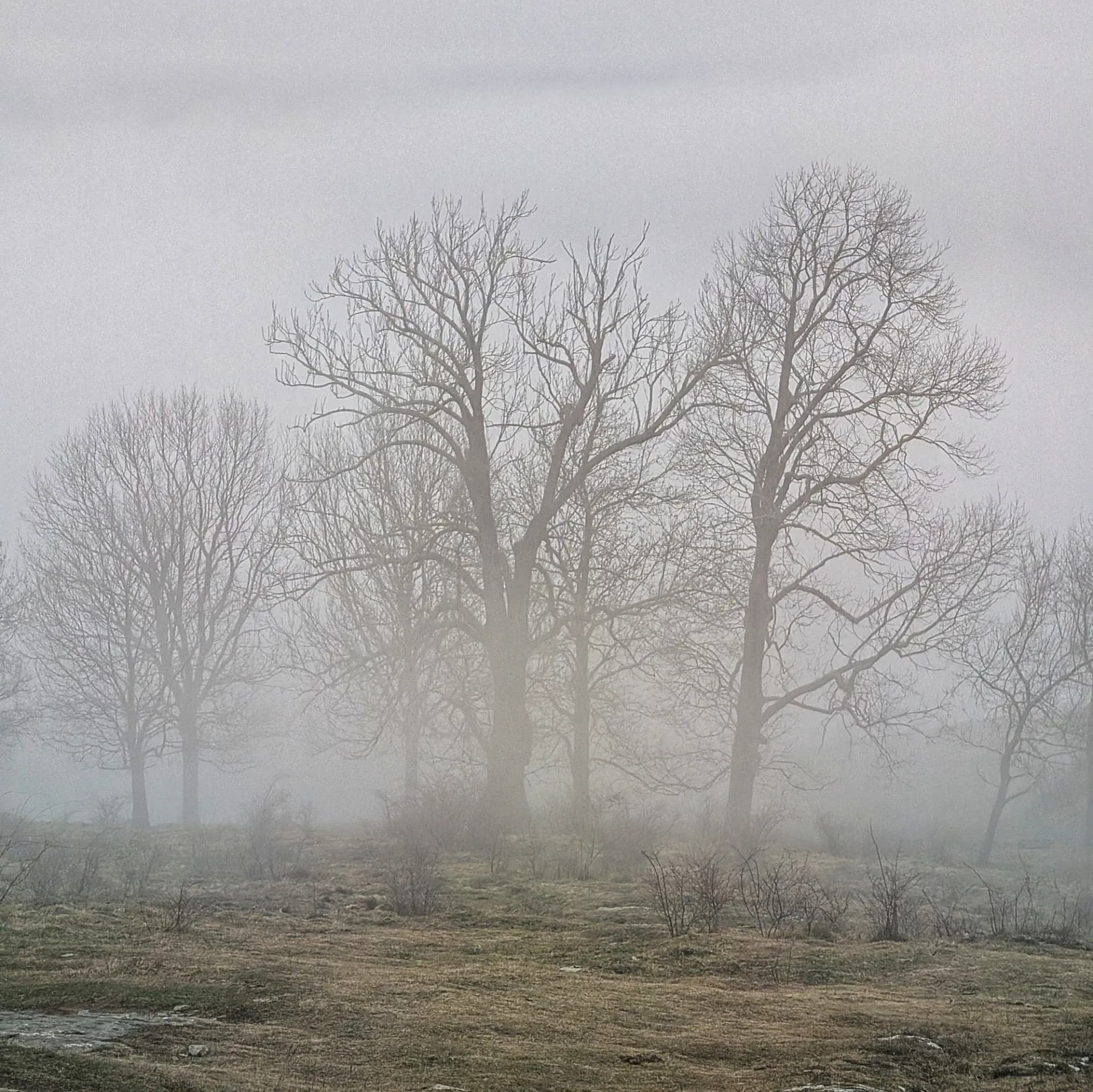 Boira baixa a la tarda des del Puig Cornelis, amb vistes cap a Santa Magdalena del Mont.