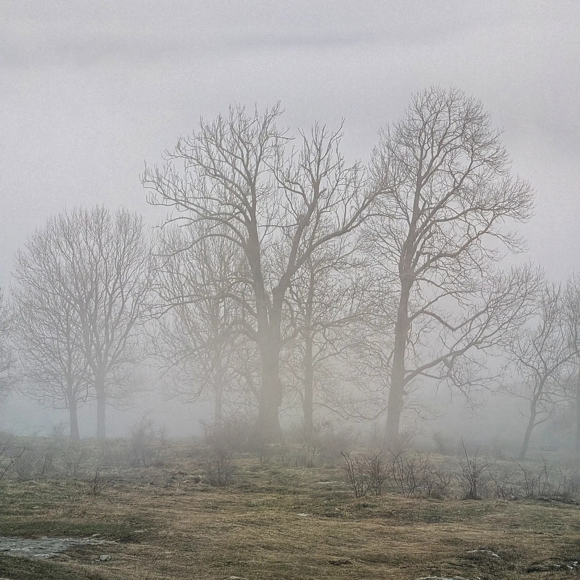 Boira baixa a la tarda des del Puig Cornelis, amb vistes cap a Santa Magdalena del Mont.