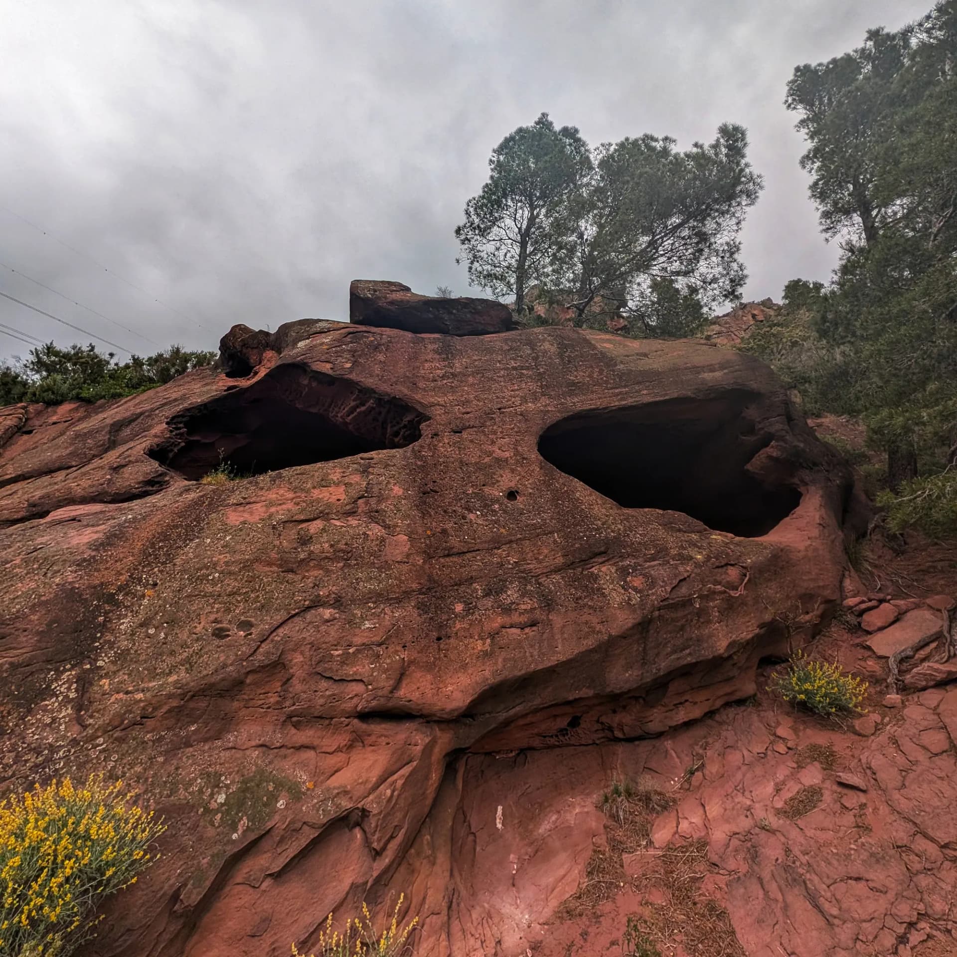 Roca de Buntsandstein amb dues obertures que simulen ulls, coneguda com la Cova dels Dos Ulls, sota cel gris.