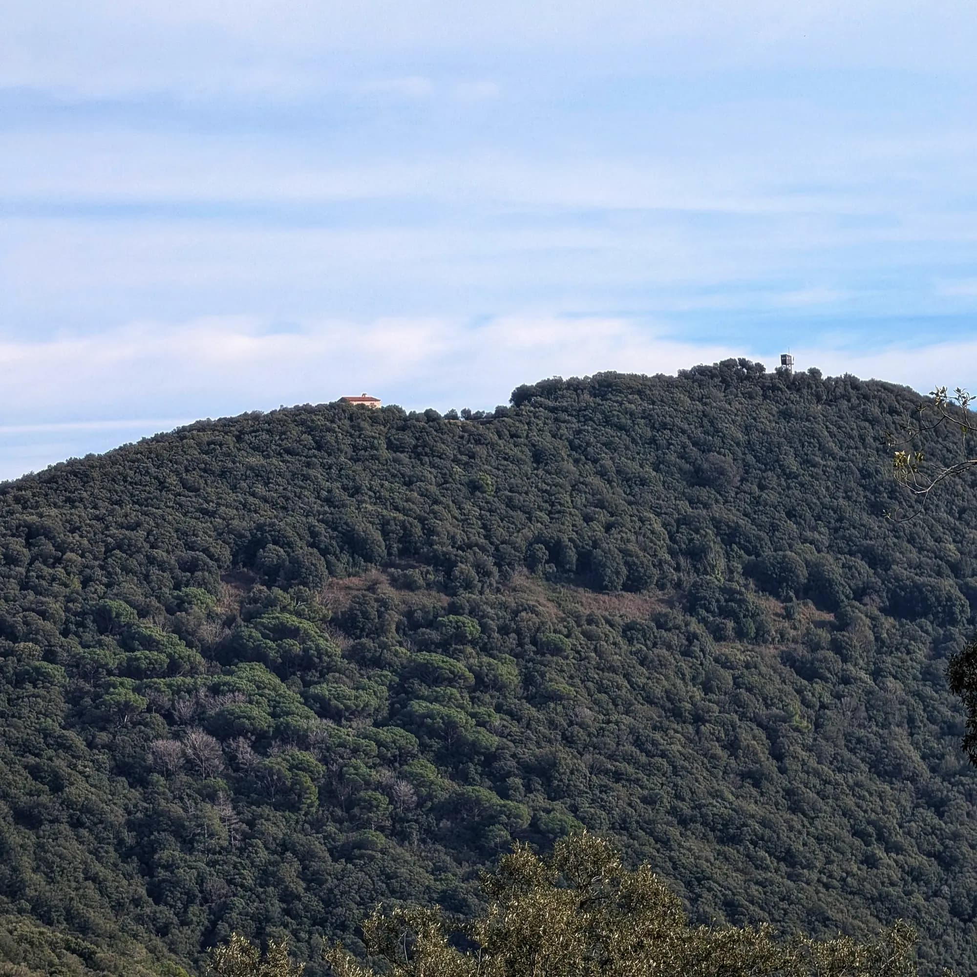 View of Sant Elies Hill, a prominent vegetated elevation, within a natural landscape.