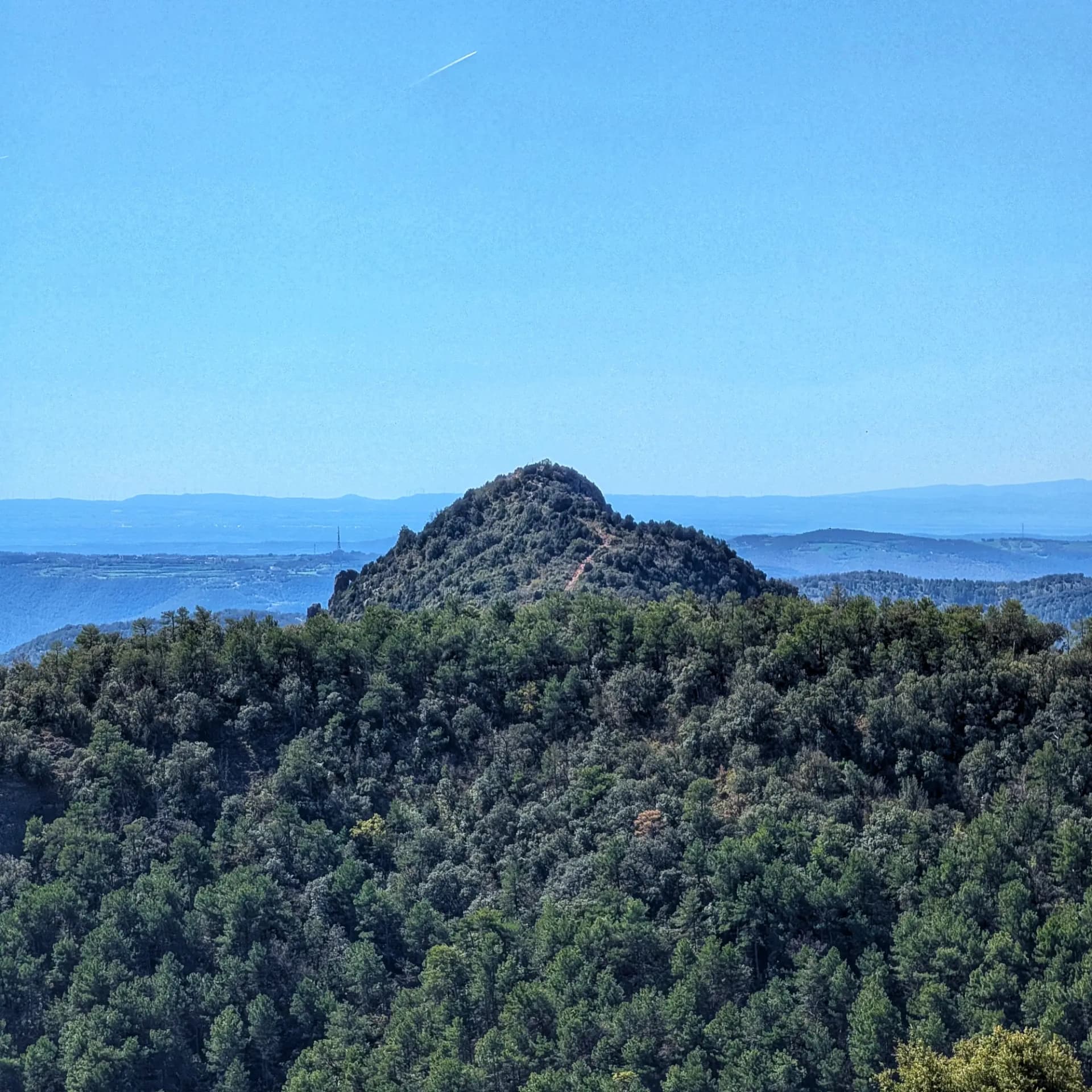 Roc de Cogul des de Sant Honorat, cim boscós amb camí visible sota cel blau clar.