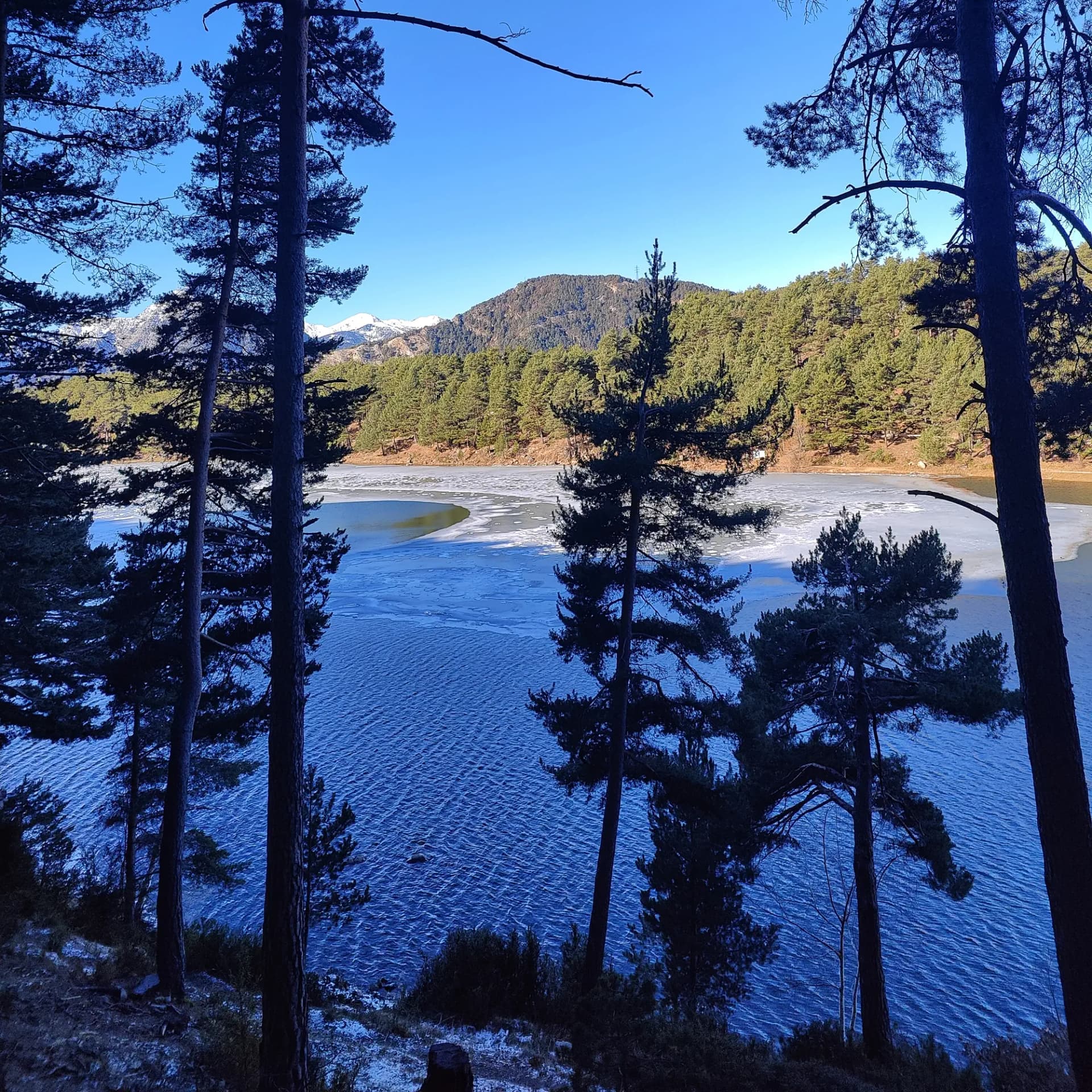 View of a partially frozen mountain lake framed by pine trees, with sunlit forested hills and snowy peaks under a clear blue sky.