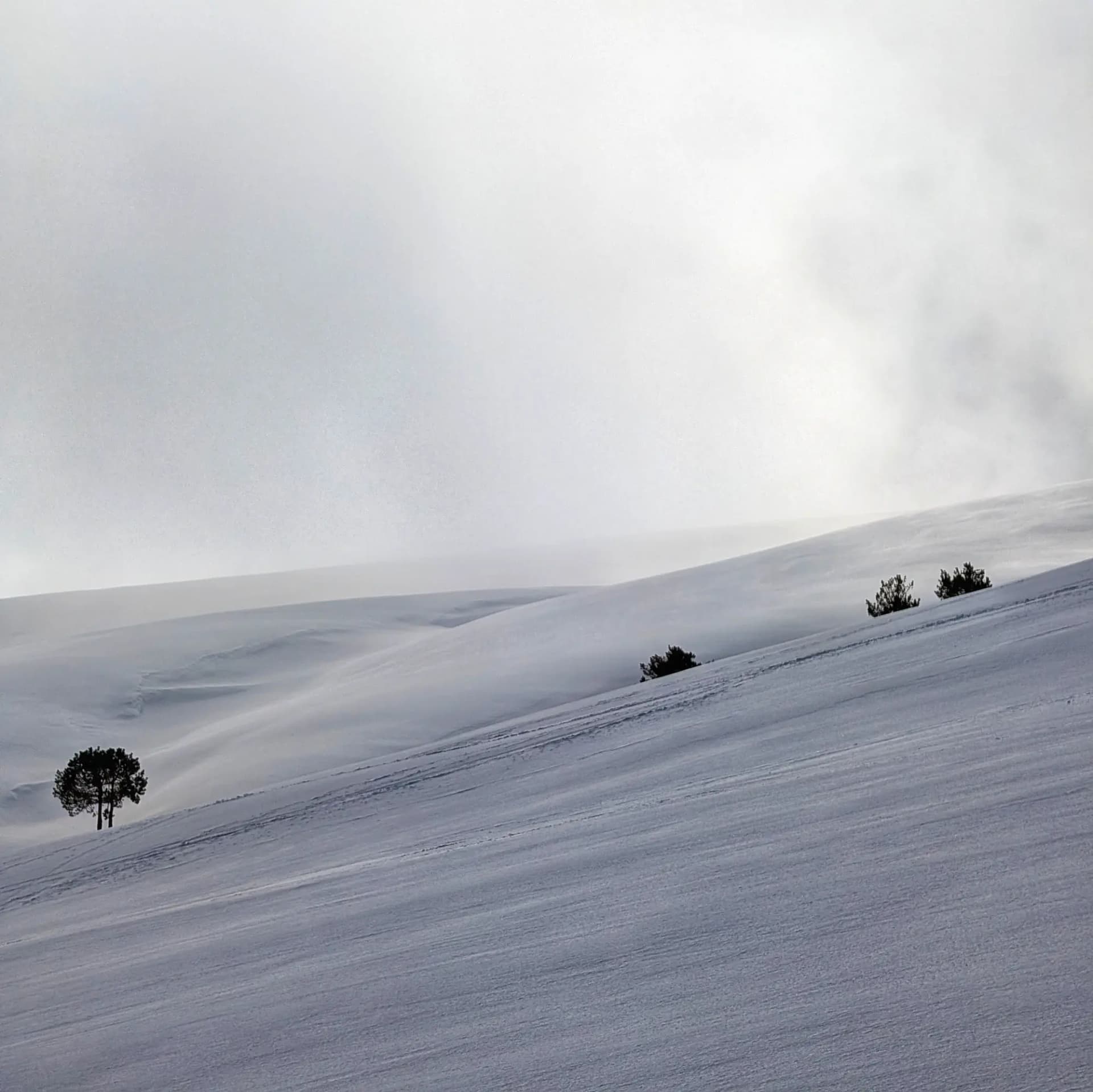 Paisatge nevat amb cel ennuvolat, durant l'ascensió al Taga.