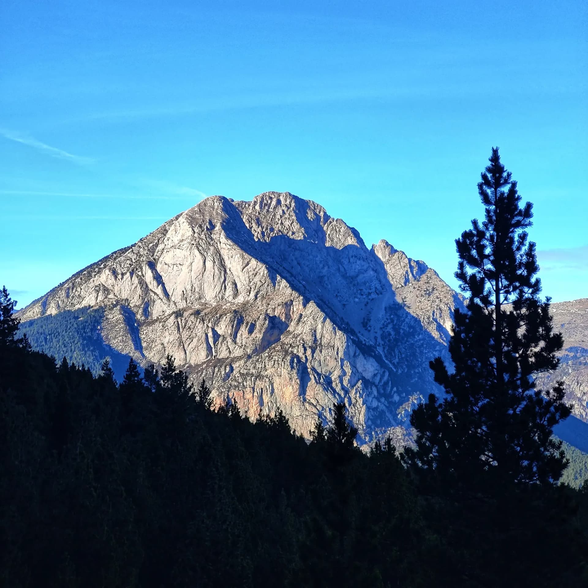 Montaña Pedraforca rocosa vista desde el Cap de la Gallina Pelada, con árboles oscuros en primer plano y cielo azul.