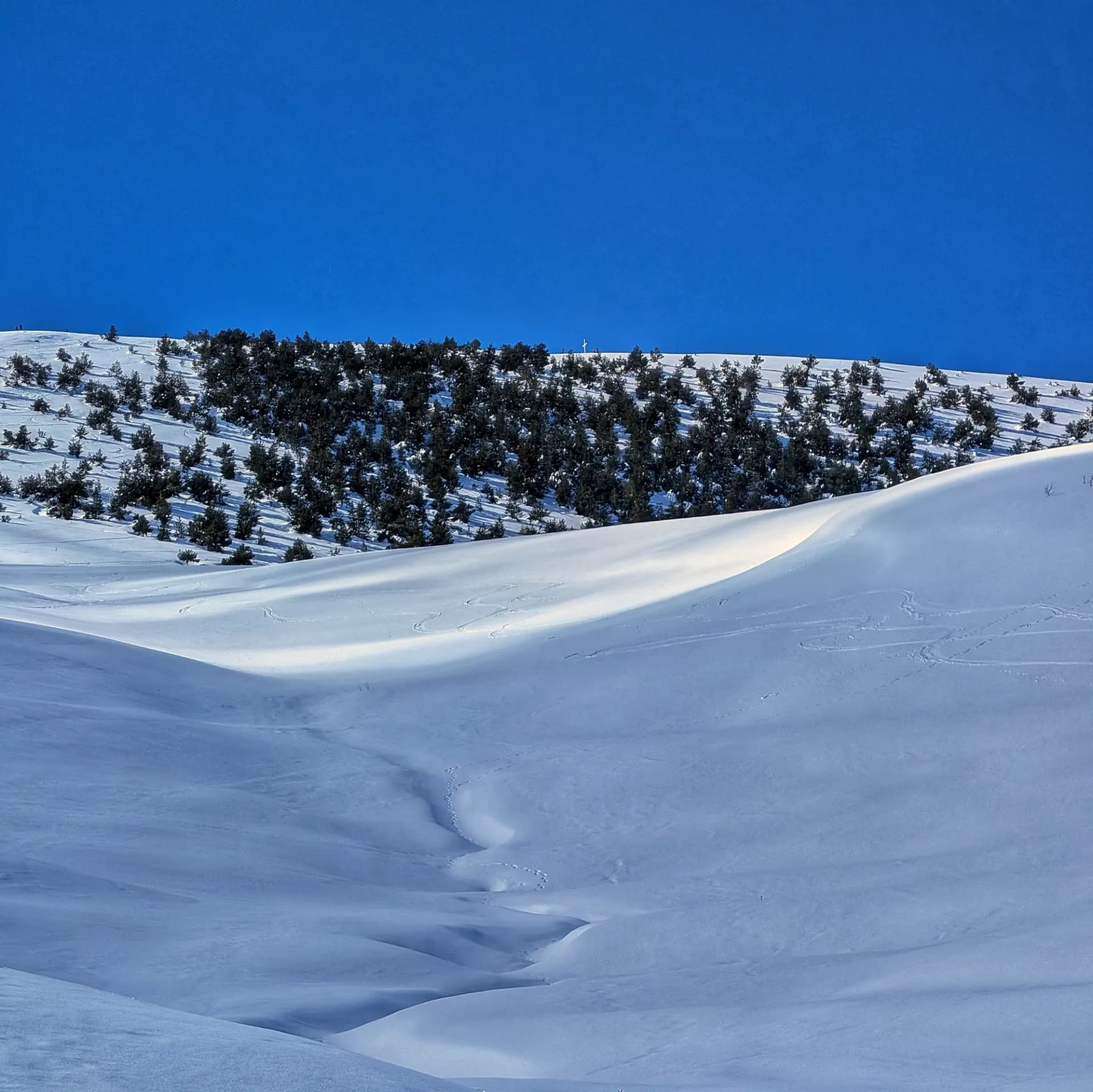 Cim del Taga completament nevat, vist des del camí d'ascensió.