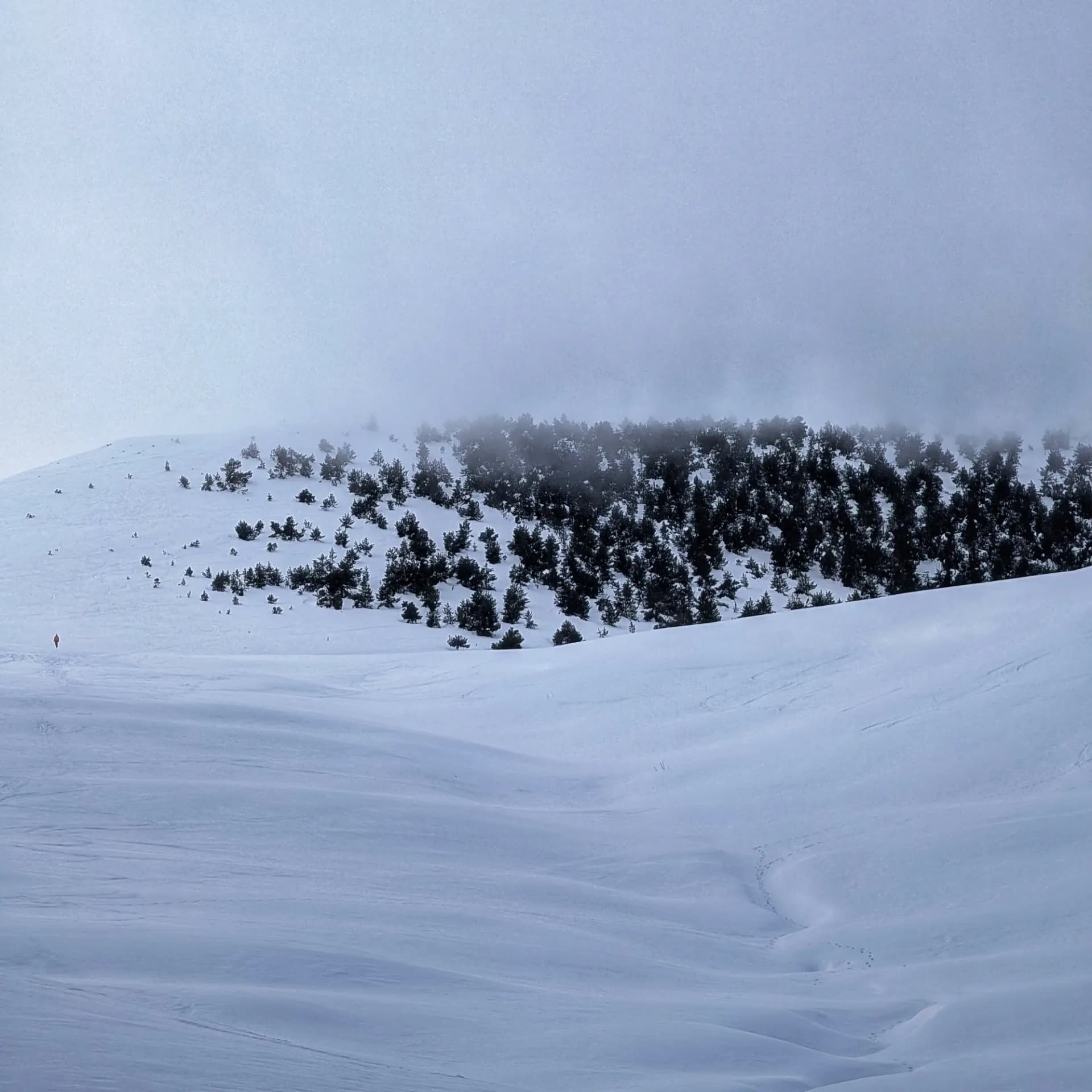 Snow-covered landscape from Taga descent with misty summit.