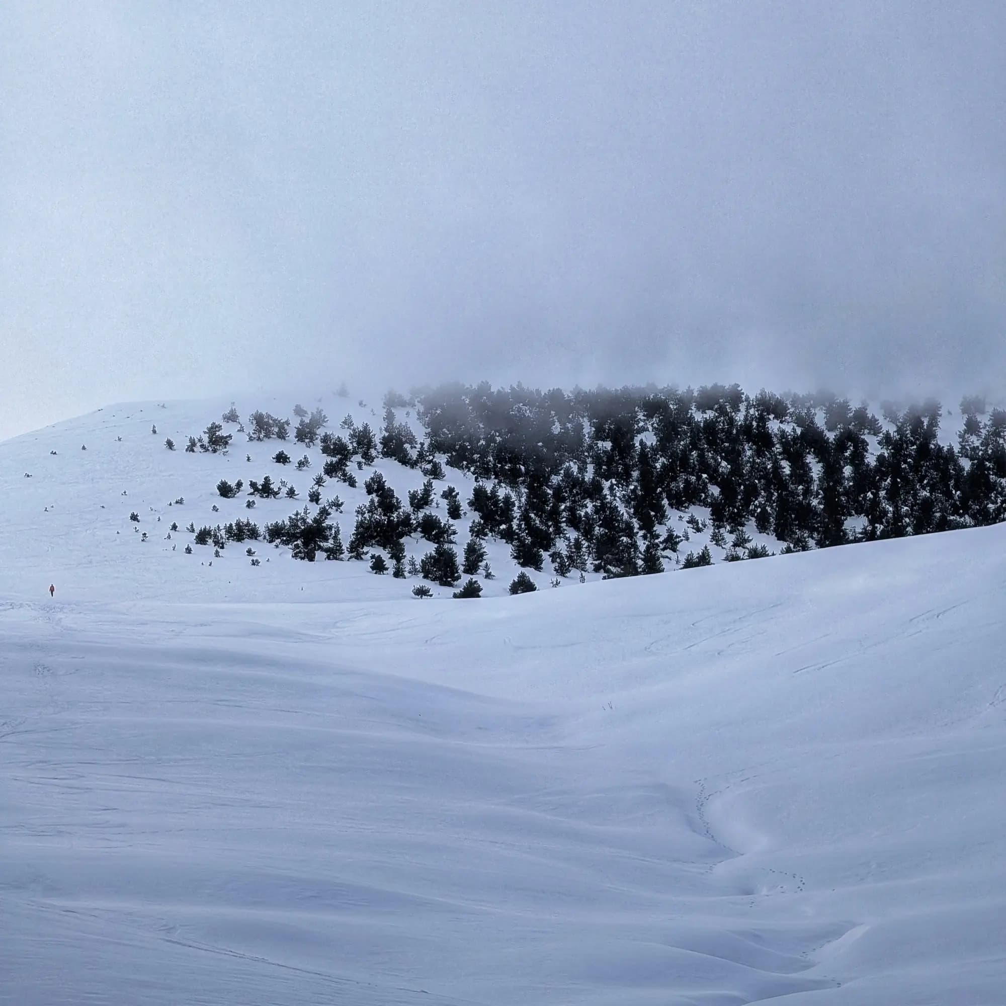 Snow-covered landscape from Taga descent with misty summit.