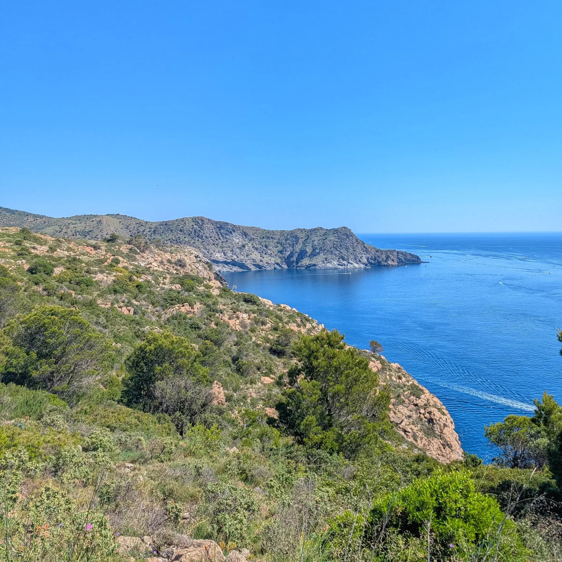 Badia de Joncols amb penya-segats verds i rocosos sota cel blau clar, vista cap al nord.