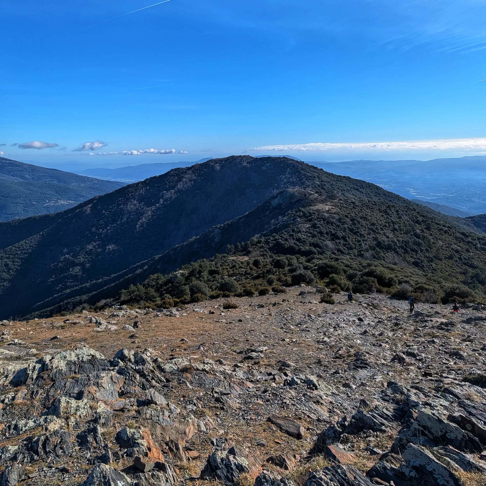 Vista panoràmica del Turó del Samont des del cim del Sui, amb vegetació i paisatge muntanyós natural.
