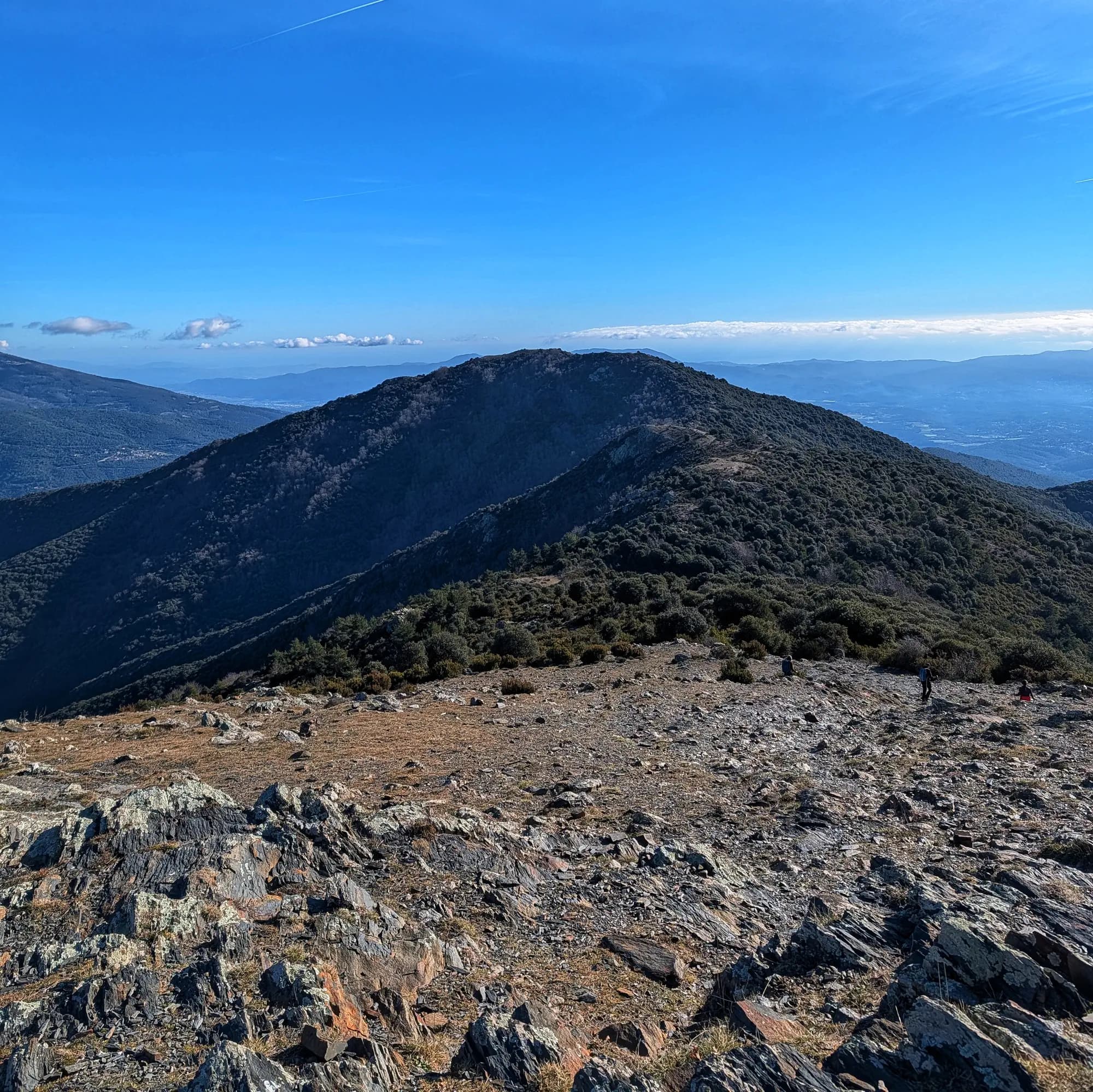 Vista panoràmica del Turó del Samont des del cim del Sui, amb vegetació i paisatge muntanyós natural.