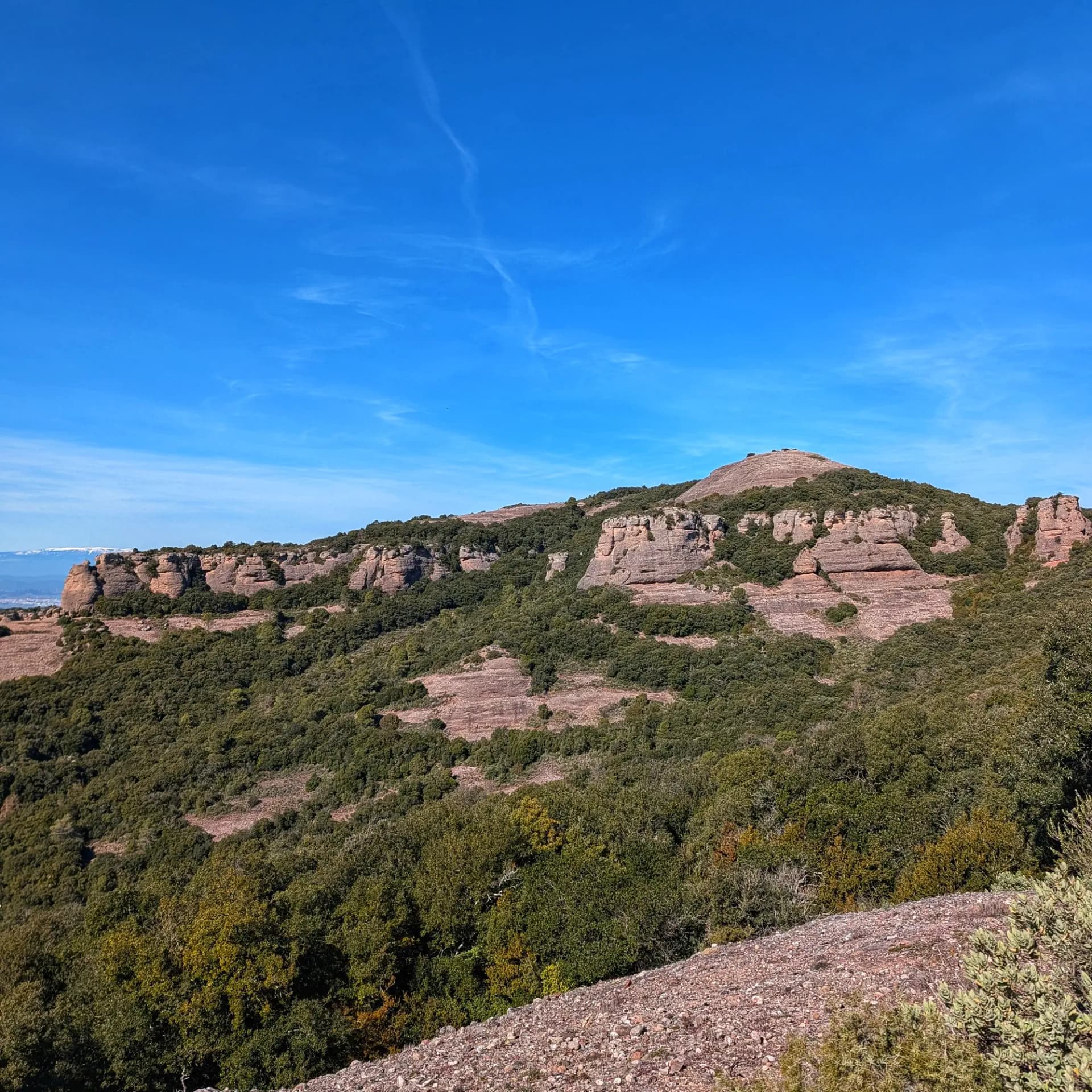 Vista del Turó de la Pola en el Parque Natural de Sant Llorenç del Munt i l'Obac, con rocas y vegetación bajo cielo azul.