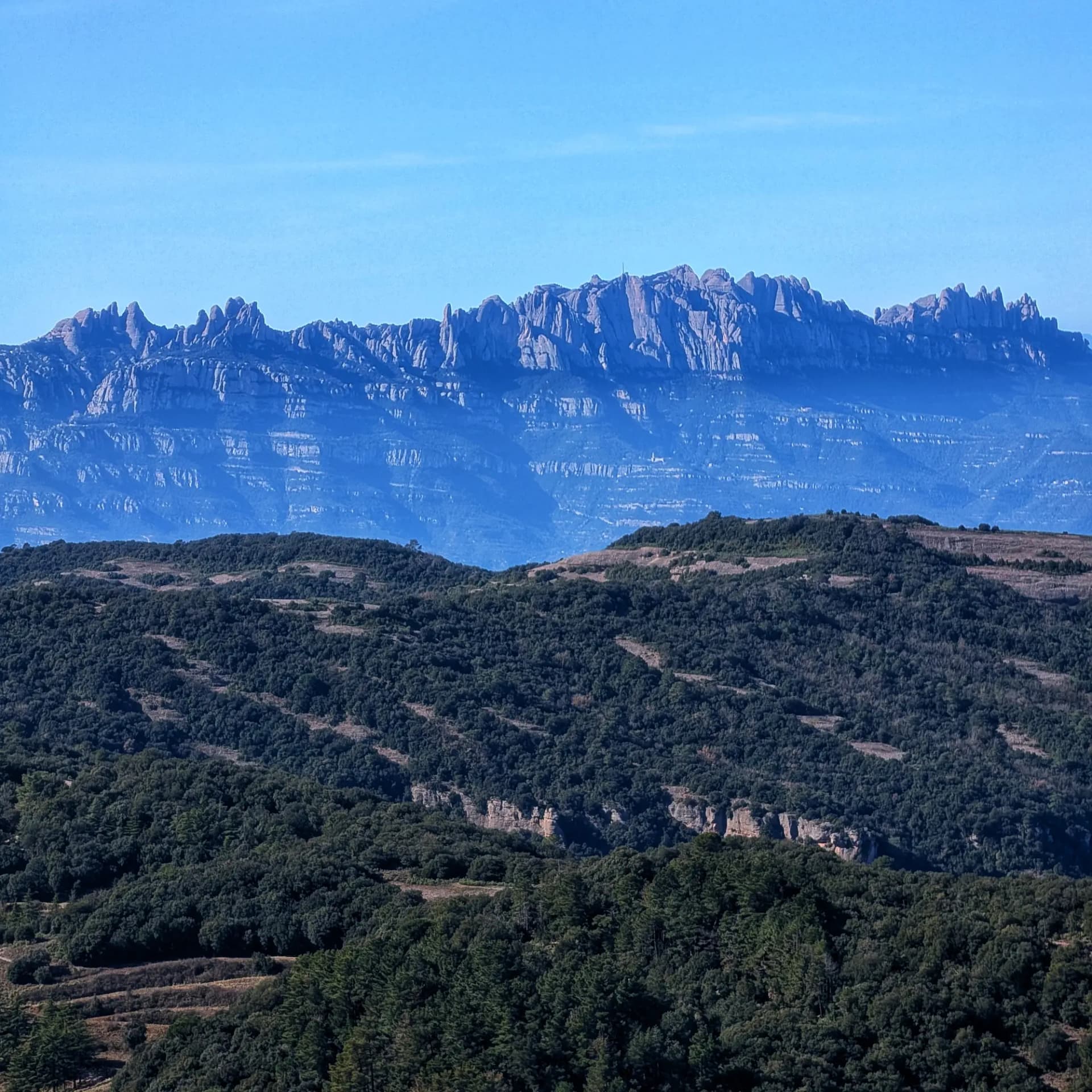 Panoramic view of Montserrat mountains from Montcau, with forested hills in foreground under clear blue sky.