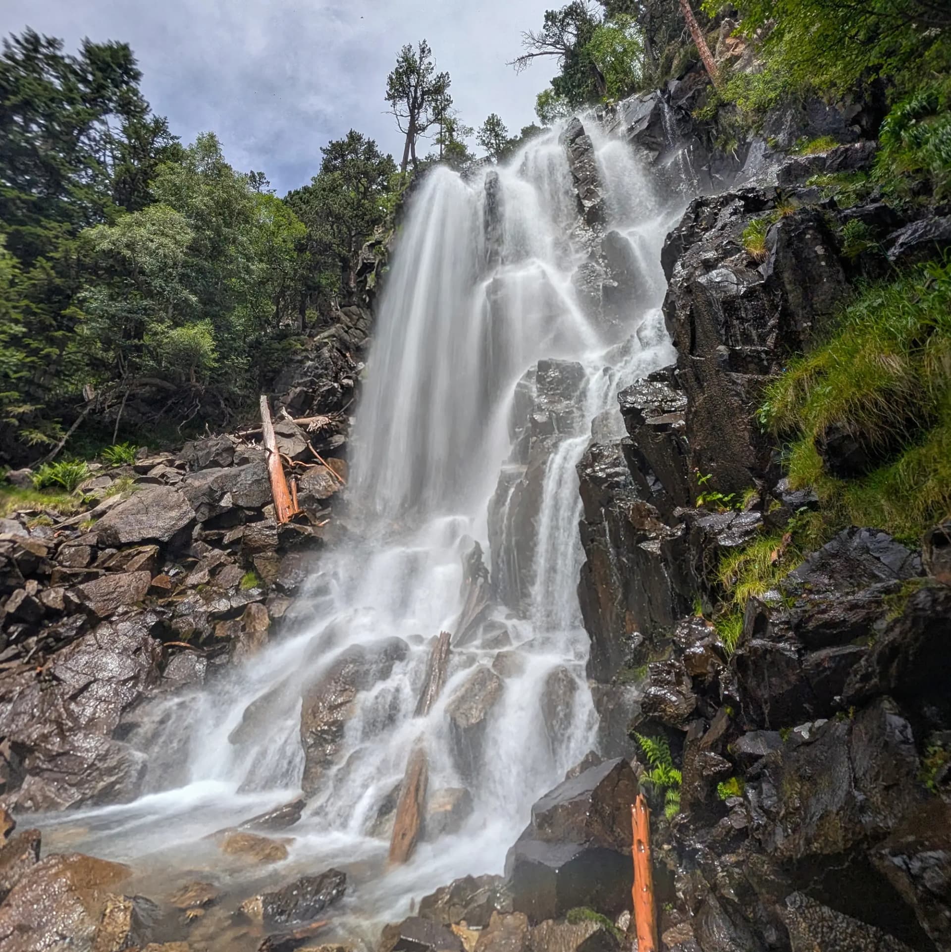 Cascada alta amb aigua blanca caient sobre roques fosques i troncs, envoltada de dens bosc verd sota cel gris.