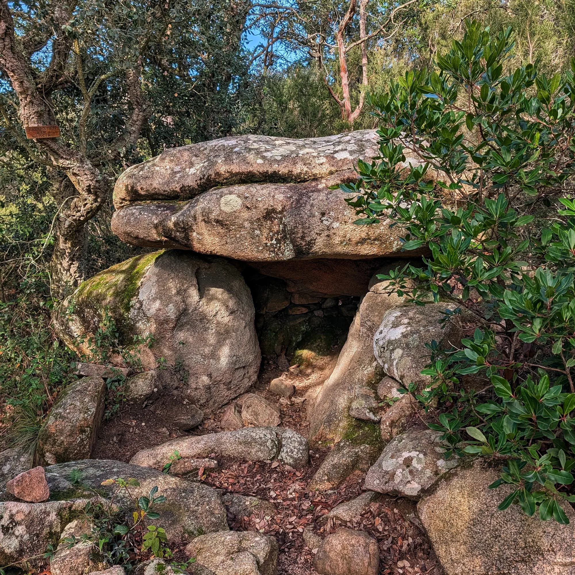 Paradolmen d'en Garcia, monument megalític de pedra en entorn natural boscós.