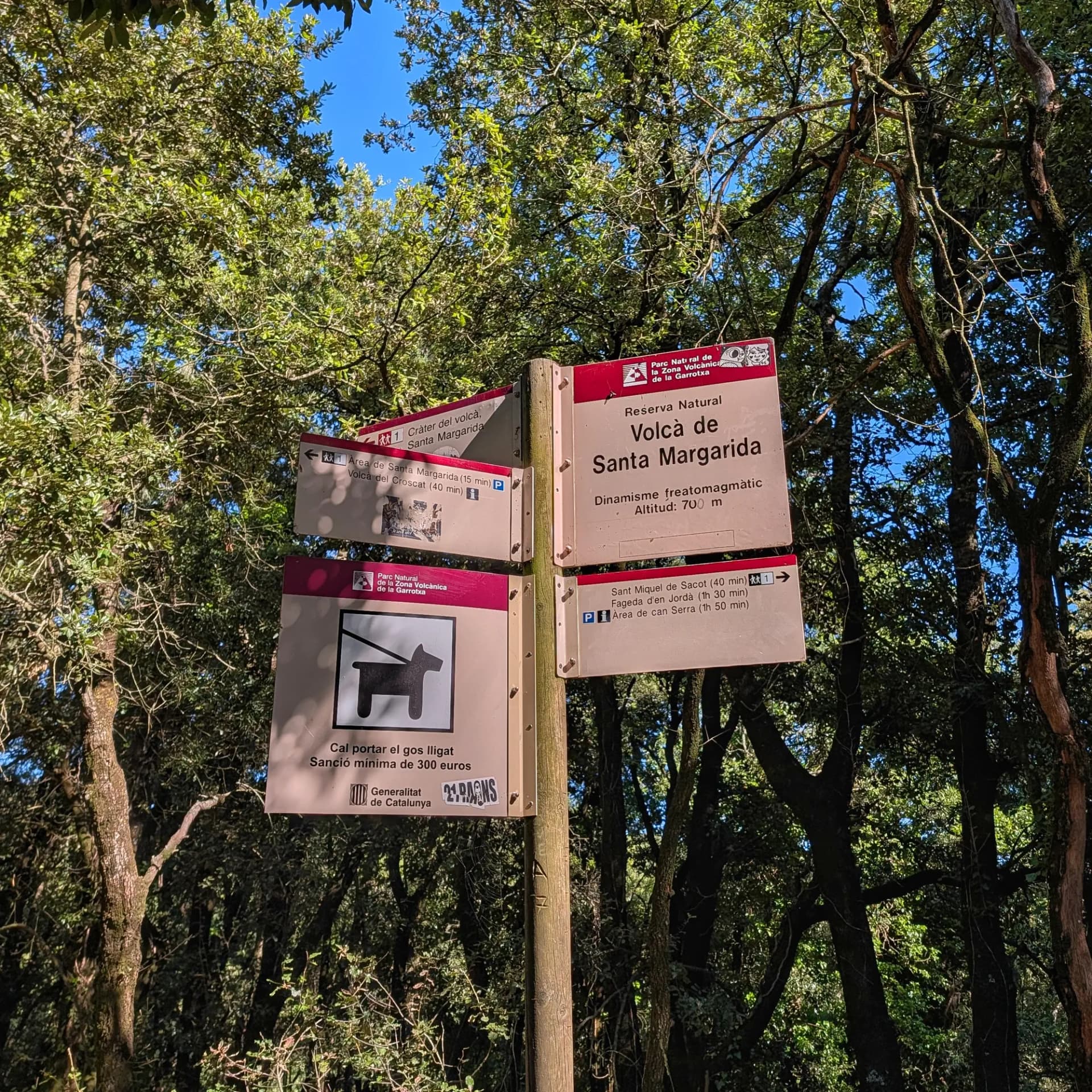 Senyalització de rutes del Volcà de Santa Margarida i el Parc Natural de la Garrotxa, en un bosc verd sota cel blau.