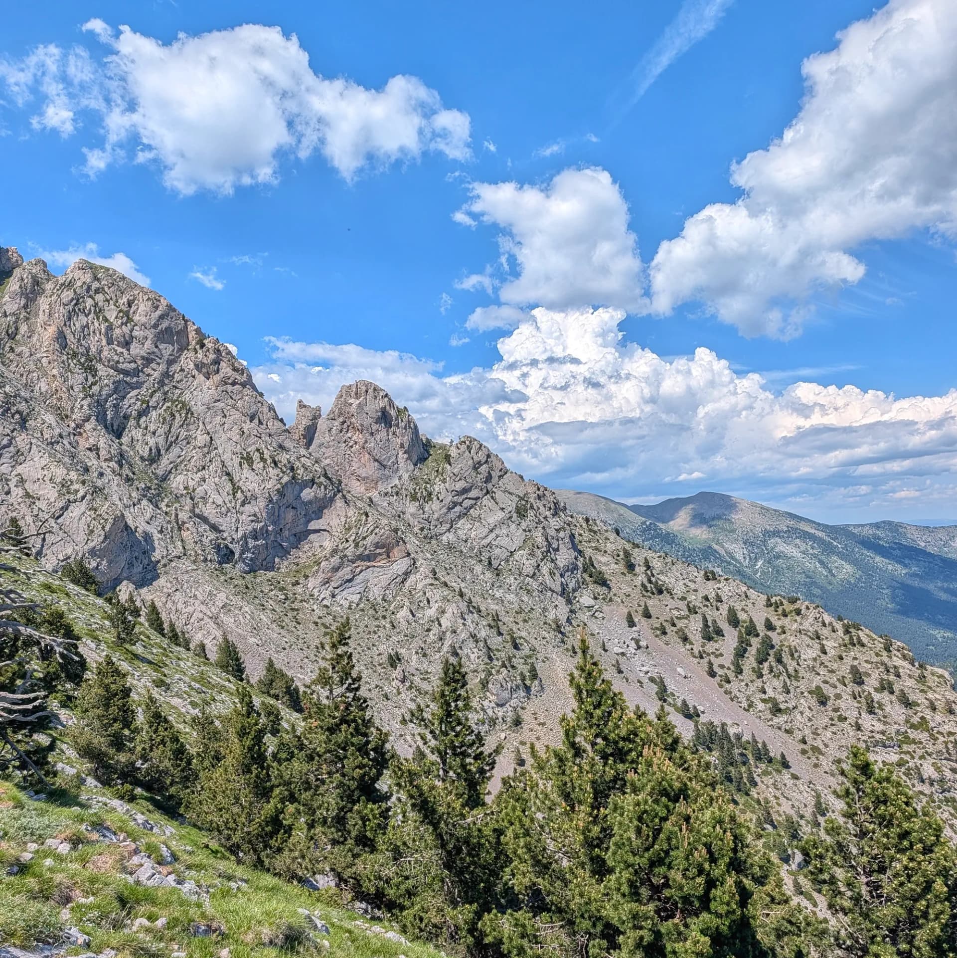 Rugged peaks of Pedraforca massif with sparse pine trees under a blue sky with white clouds.