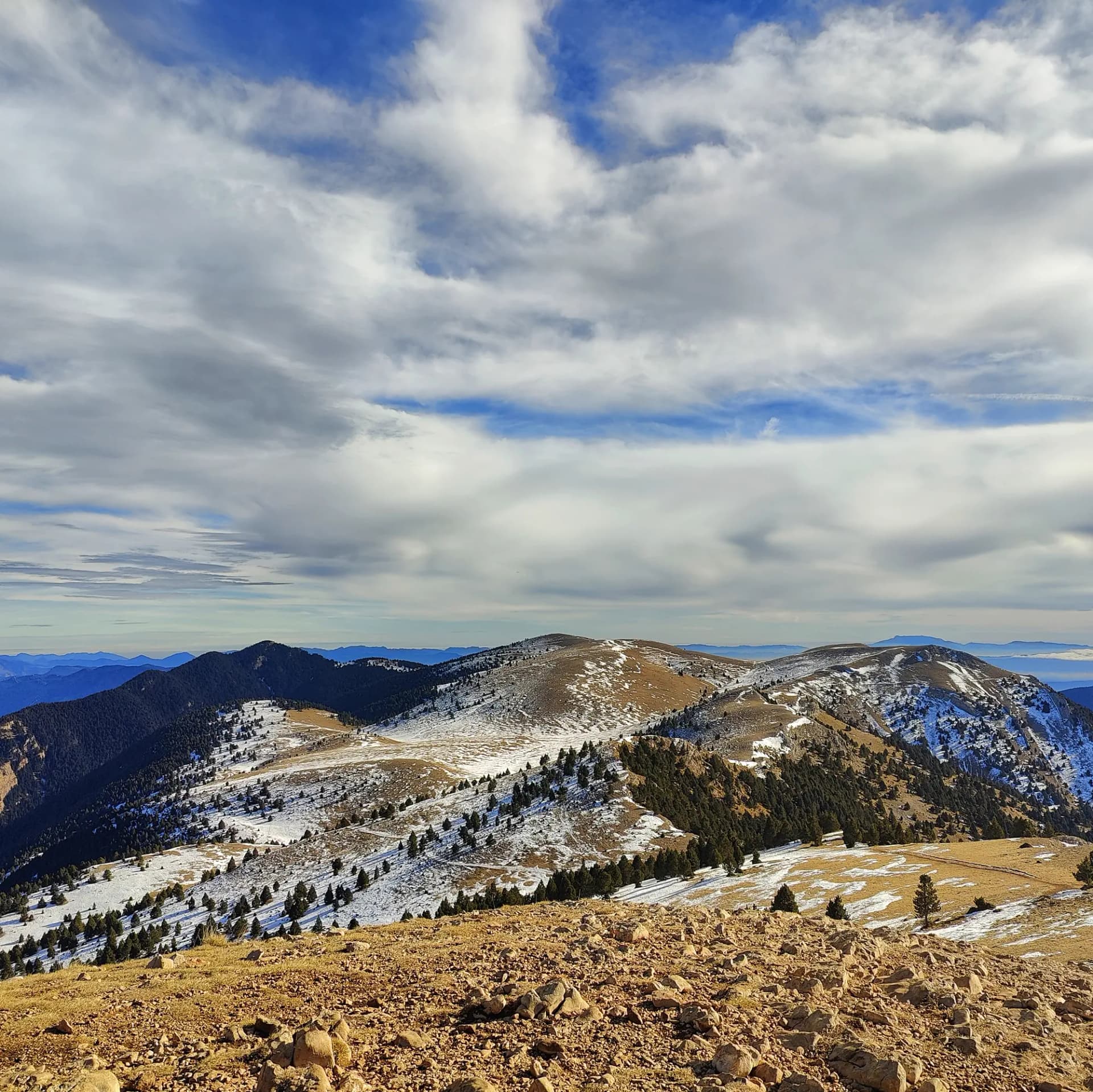 Panorámica desde el Cap de la Gallina Pelada con cumbres de la Serra d'Ensija, incluyendo el Serrat Voltor con bosque.