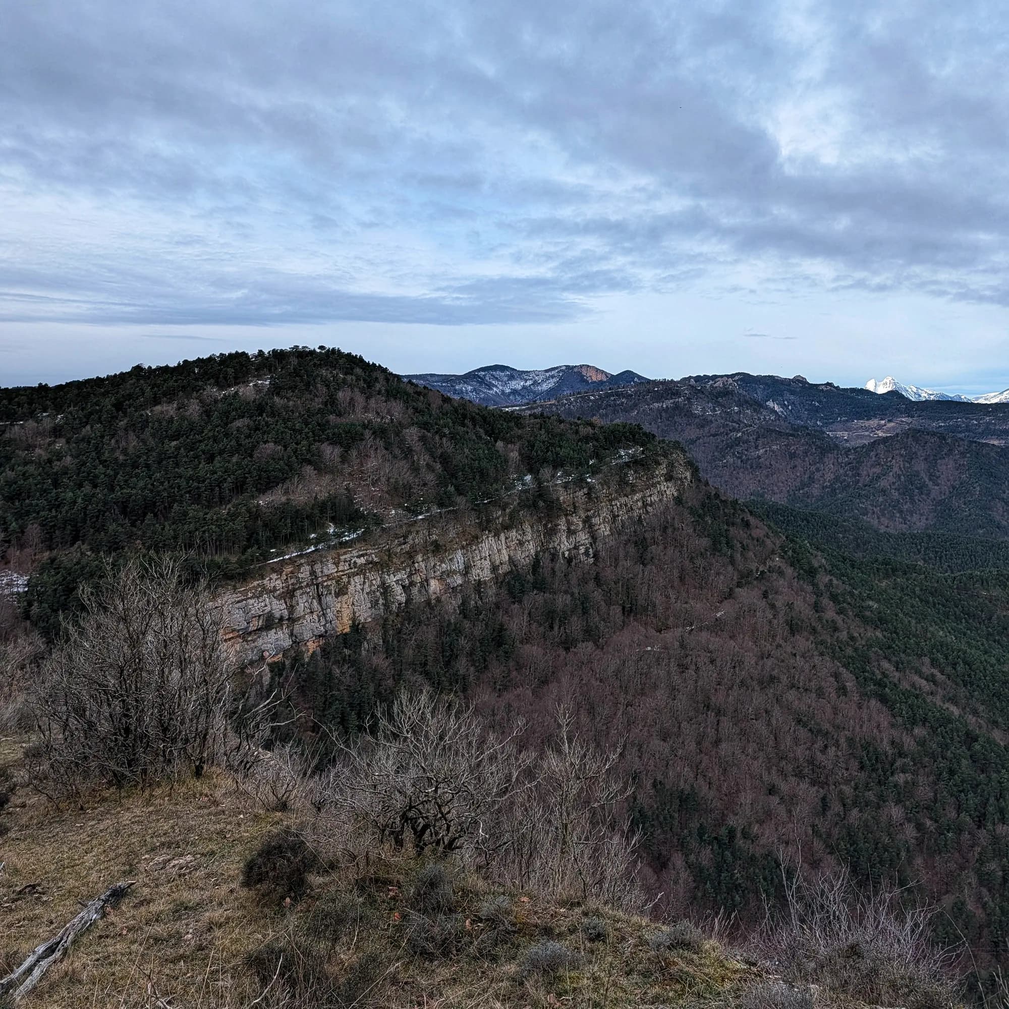 Cingle del Roquerol vist des del mirador del Pas de les Baumes durant l'ascens al Pedró de Tubau.