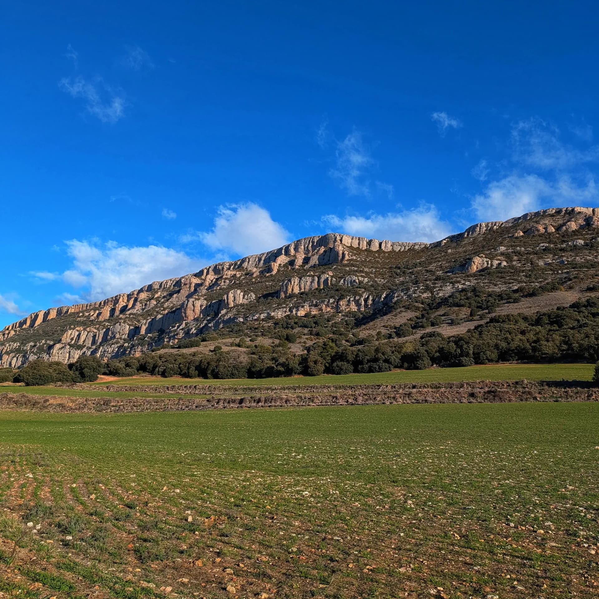 Cadena montañosa rocosa con vegetación dispersa, campos verdes en primer plano y cielo azul claro con nubes.