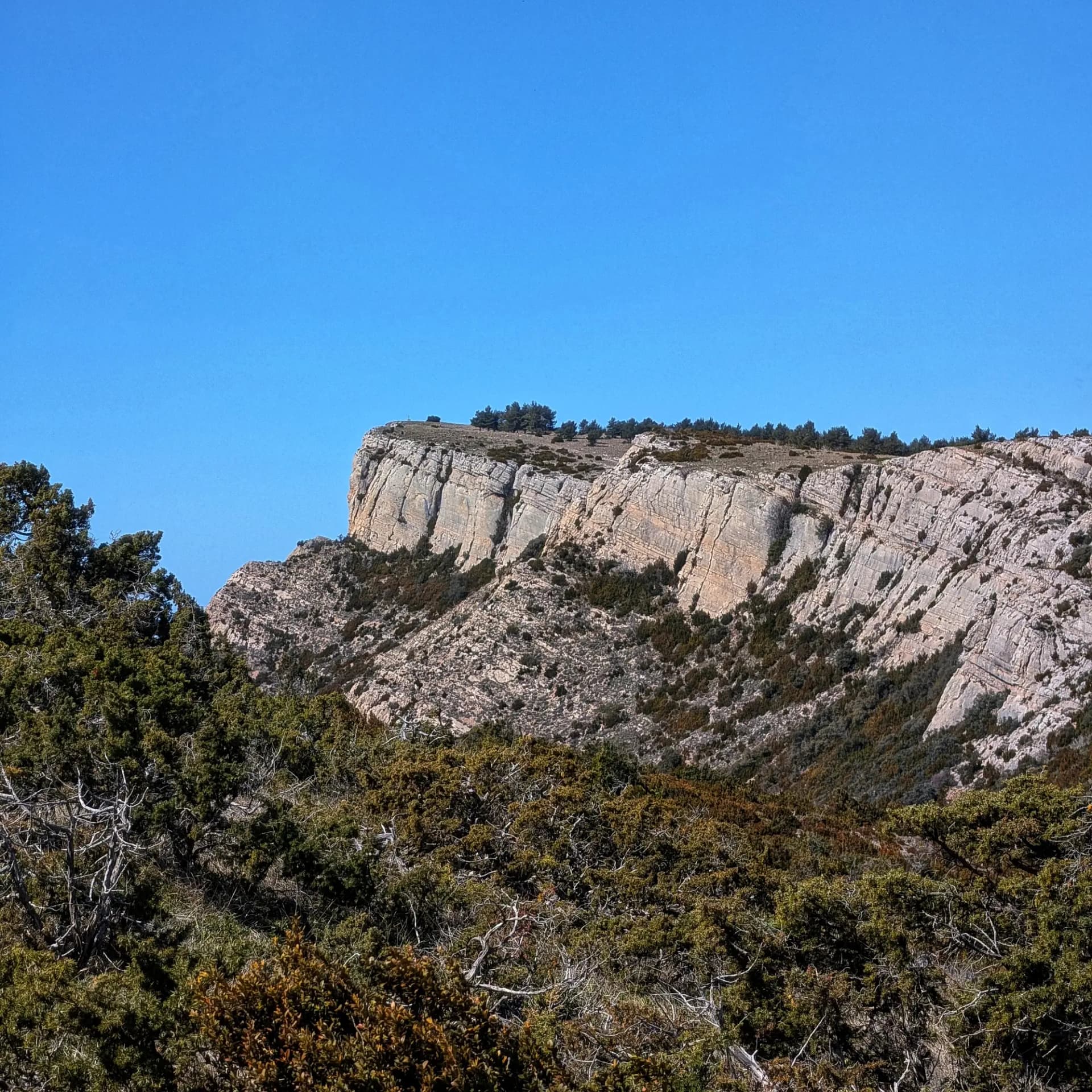 Acantilado rocoso con estratificación visible, vegetación dispersa y arbustos en primer plano bajo cielo azul claro.