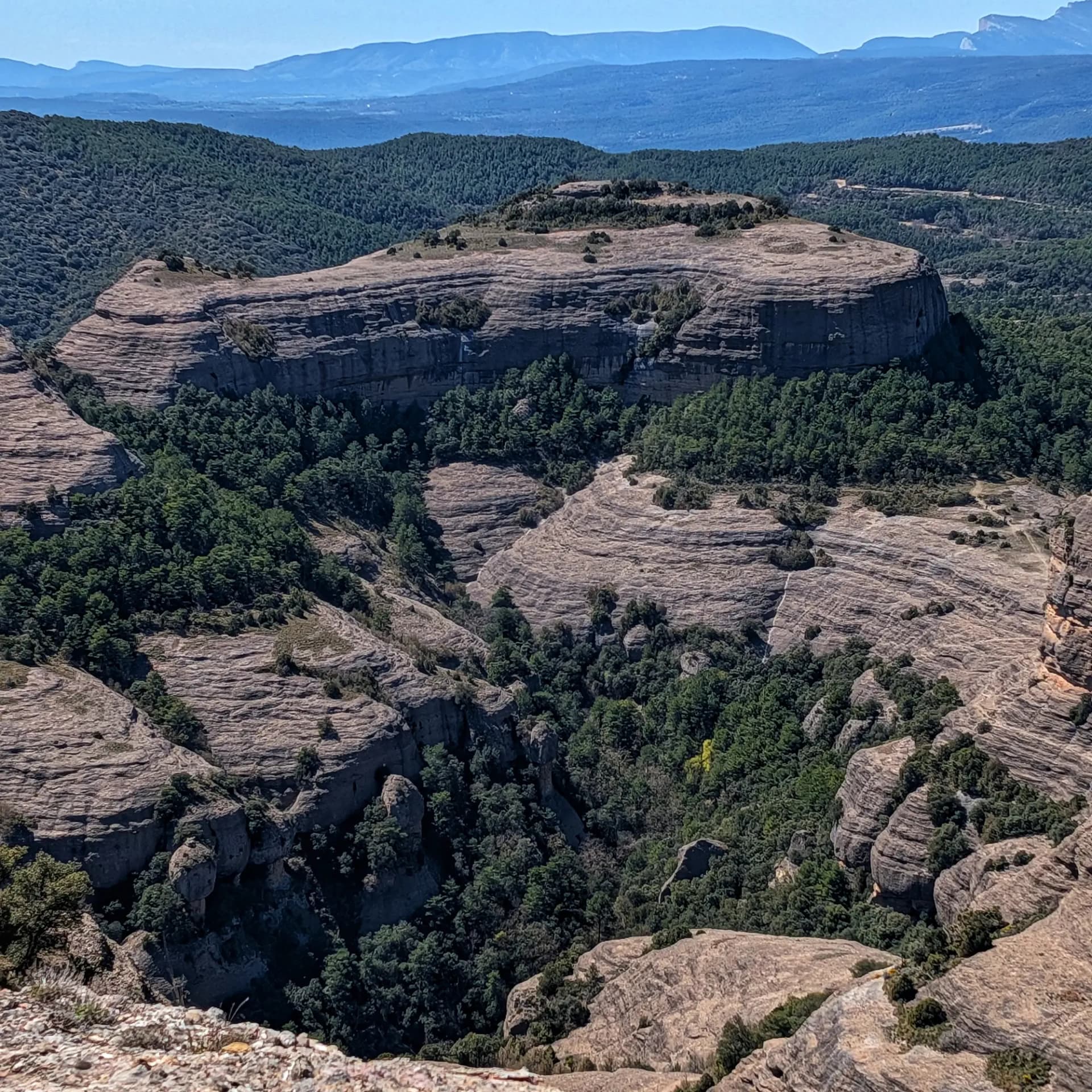 Vista aèria dels barrancs rocosos i boscosos de Sant Honorat, amb el Roc del Corb al fons.