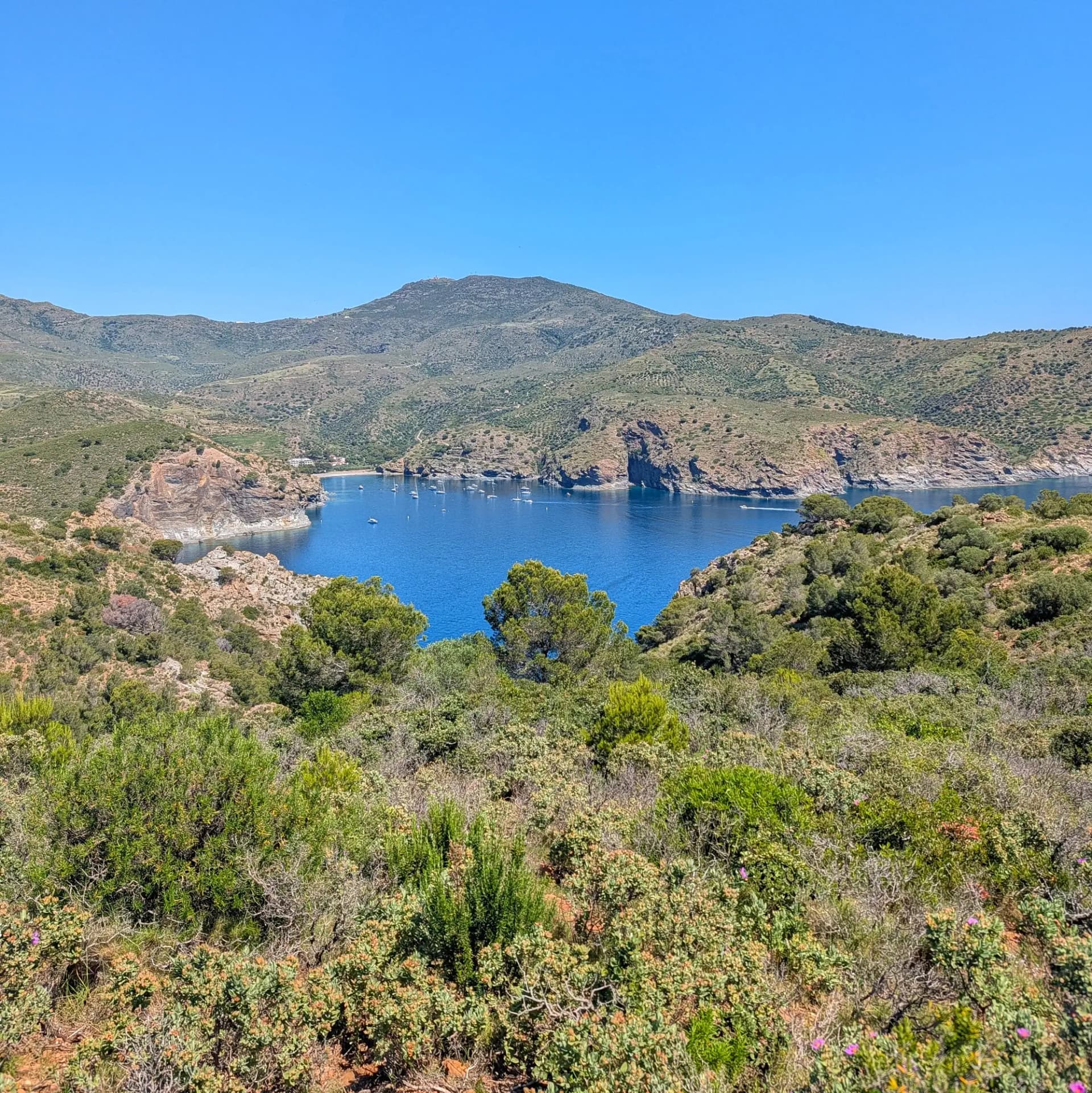 Vista panoràmica de la Cala i Badia de Joncols amb aigües blaves, vaixells, costes rocoses i vegetació mediterrània.