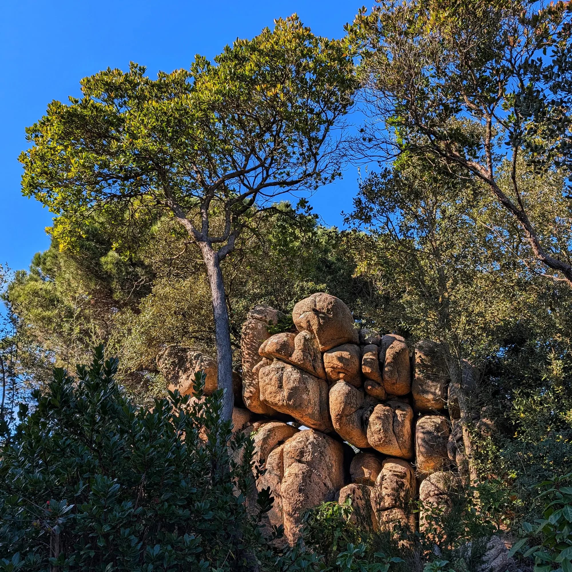 Formació rocosa granítica envoltada de pins mediterranis al massís de Cadiretes.