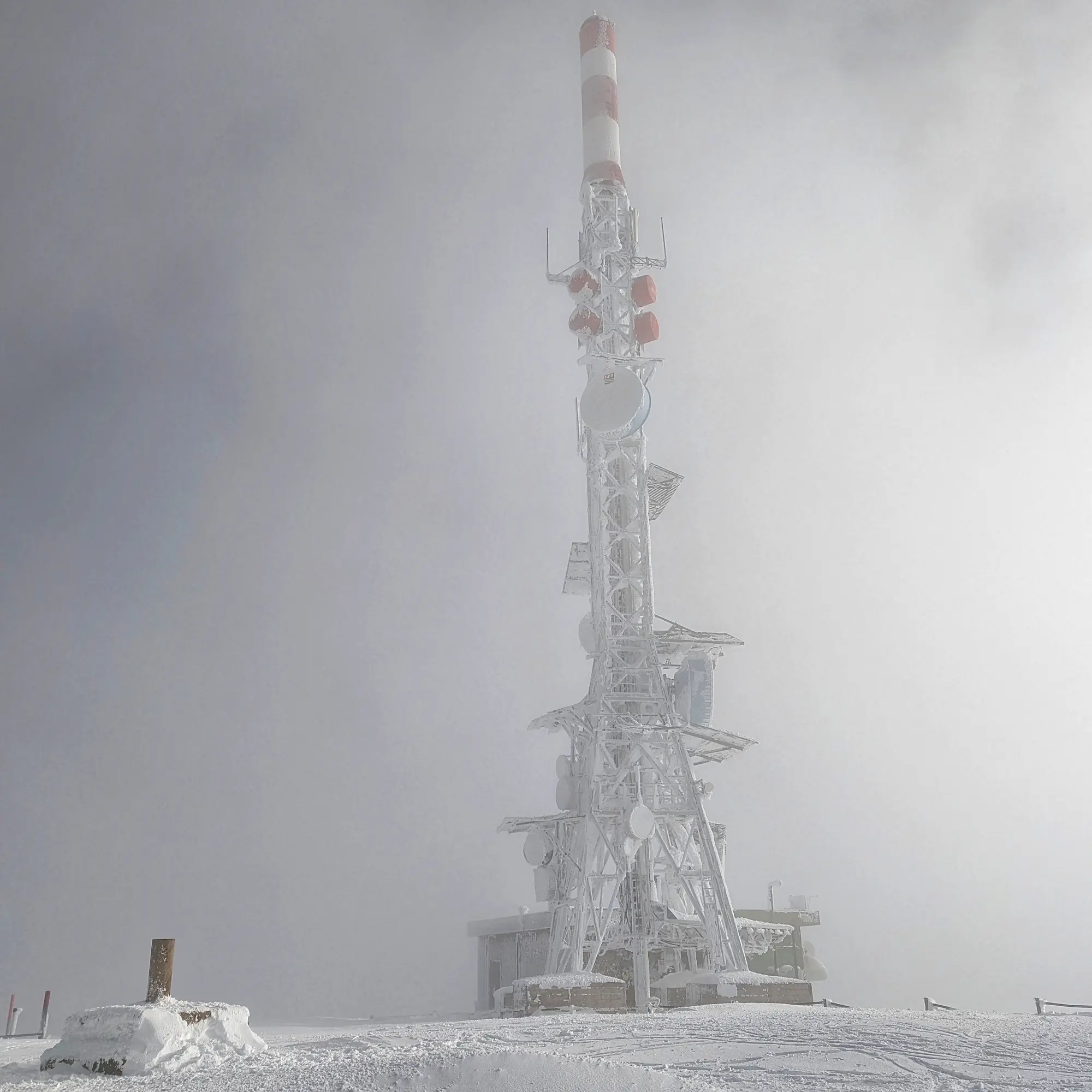 Cim de la Torreta de l'Orri nevat sota la boira.