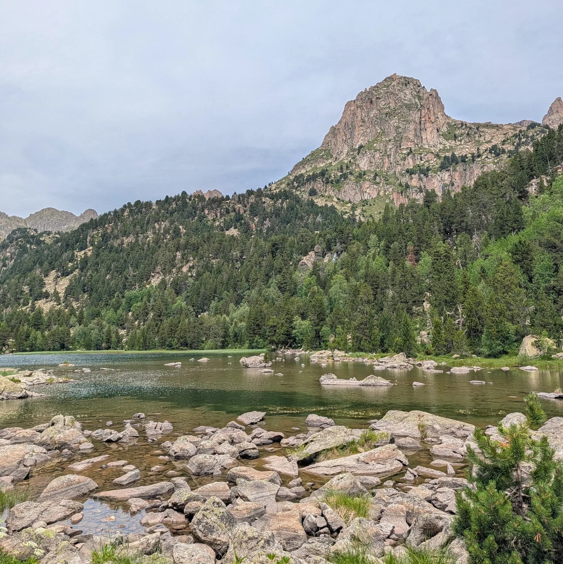 Llac de muntanya amb roques en primer pla, bosc de pins a les pendents i una gran muntanya rocosa sota cel gris.
