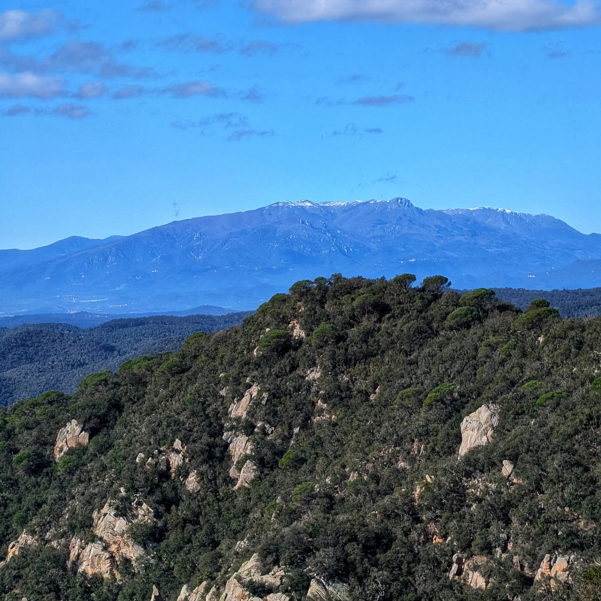 Vista panoràmica del massís del Montseny des del Mirador de Montllor. Paisatge muntanyós amb vegetació.