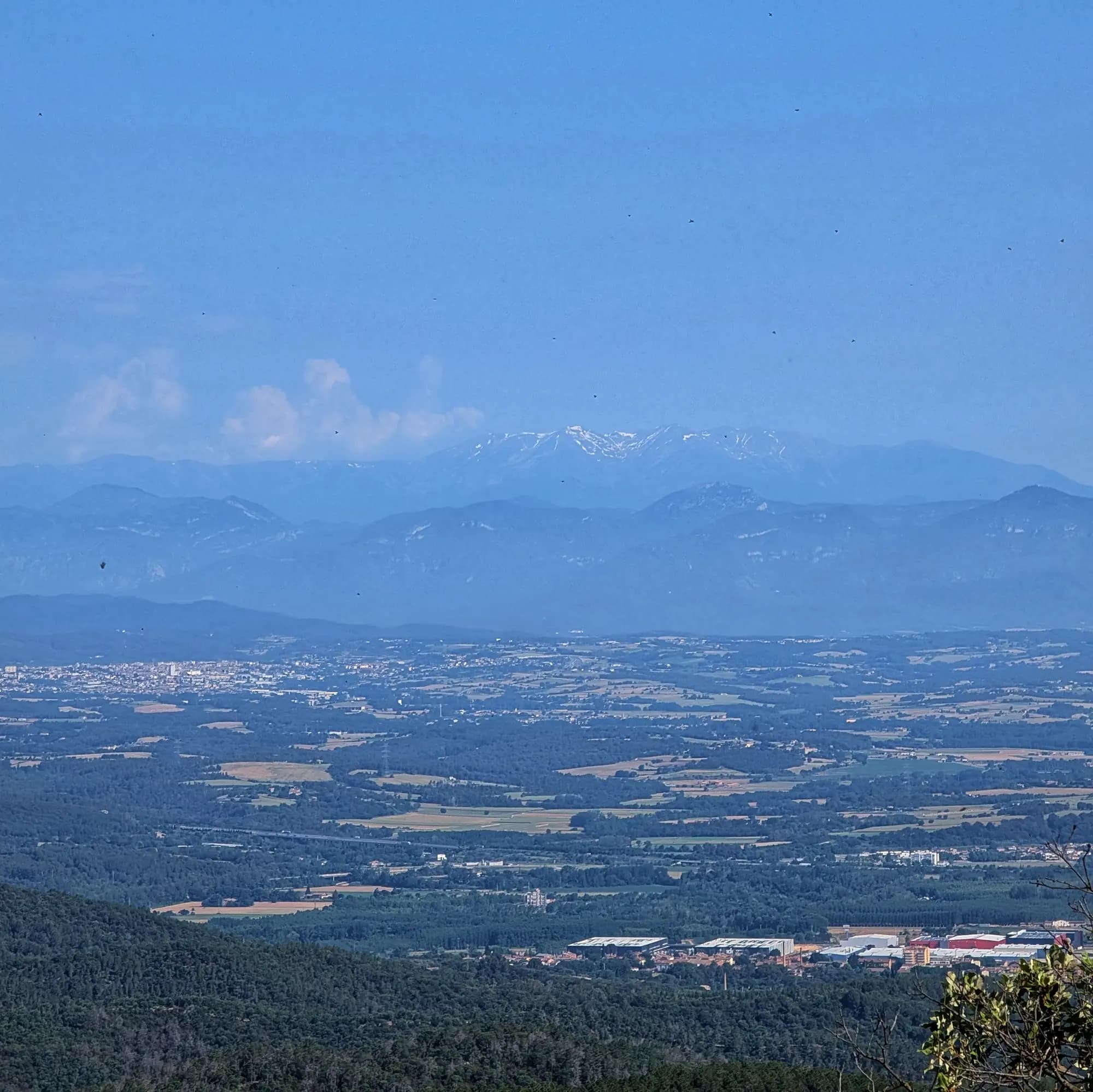 Vistas de Comanegra (izquierda) y Puig del Bassegoda frente al macizo del Canigó (con un poco de nieve) desde la cima de Els Àngels (Puig Alt)