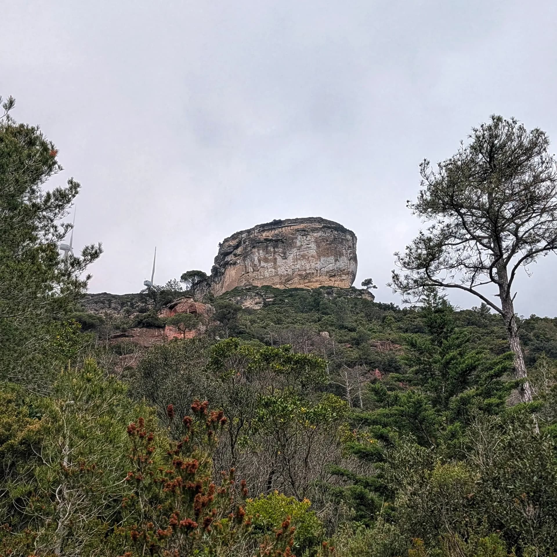 El Moster, una gran formació rocosa en un turó boscós sota un cel ennuvolat, emmarcada per arbres.