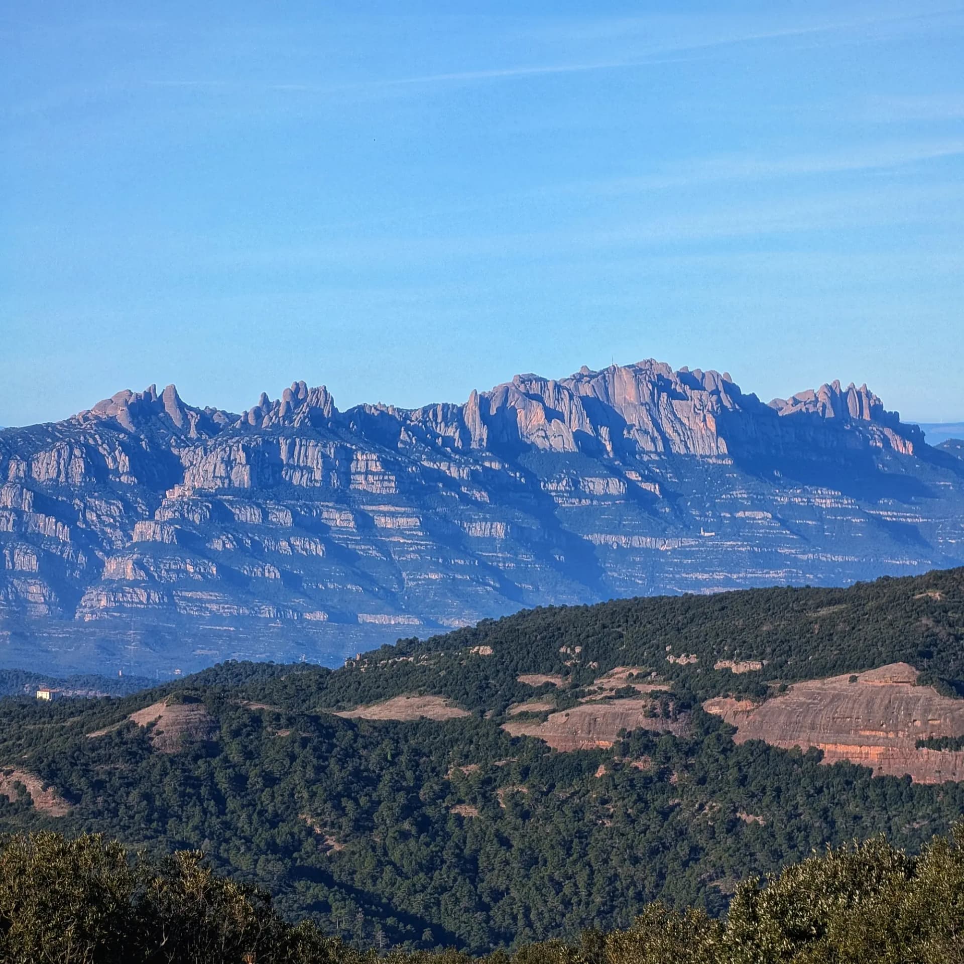 A panoramic view of the jagged Montserrat mountain range with its distinct peaks under a clear blue sky, seen from a forested viewpoint.