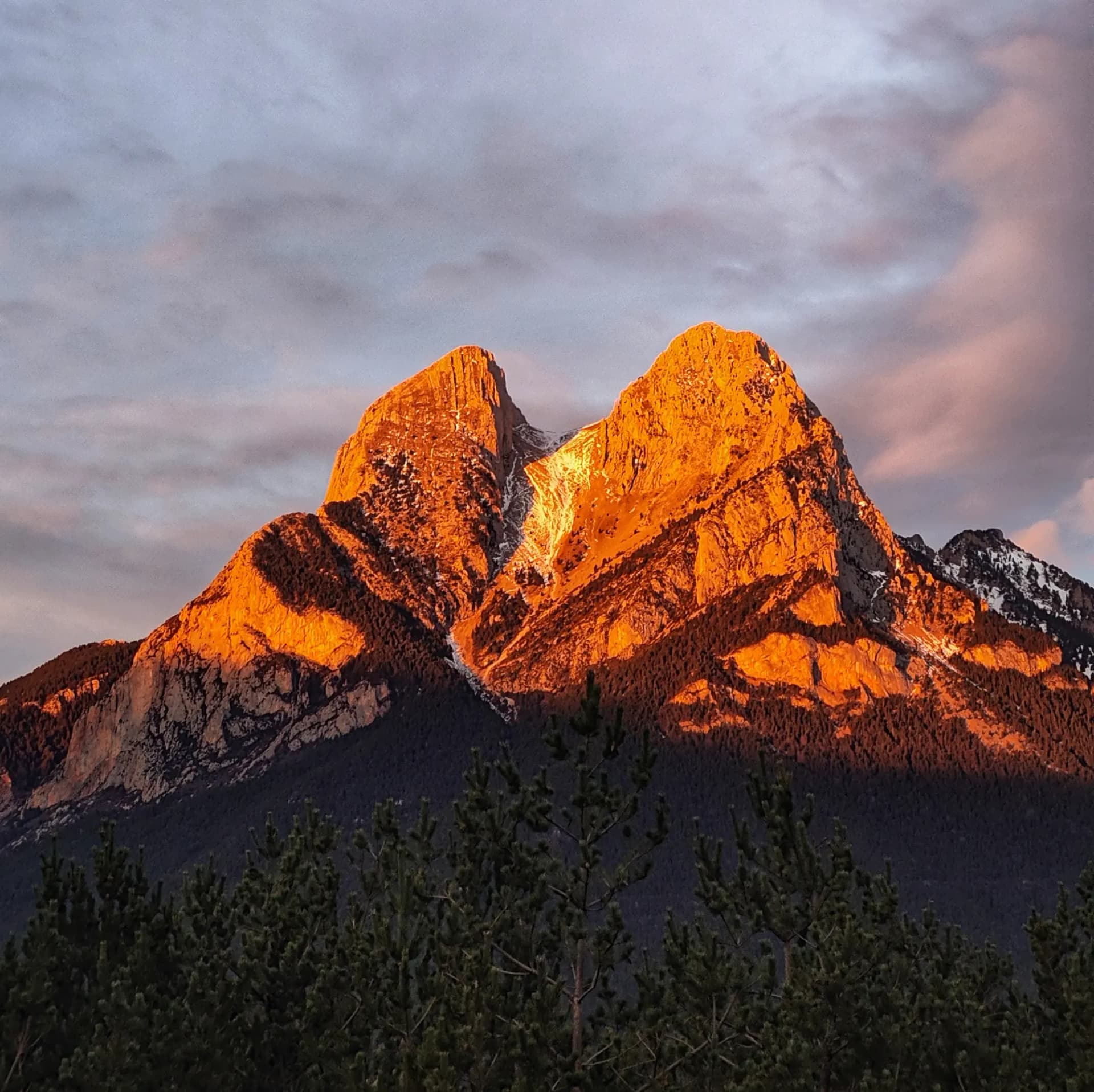Pedraforca il·luminada per la llum de l'alba, amb tons taronja intens, ombres fosques i arbres al primer pla.