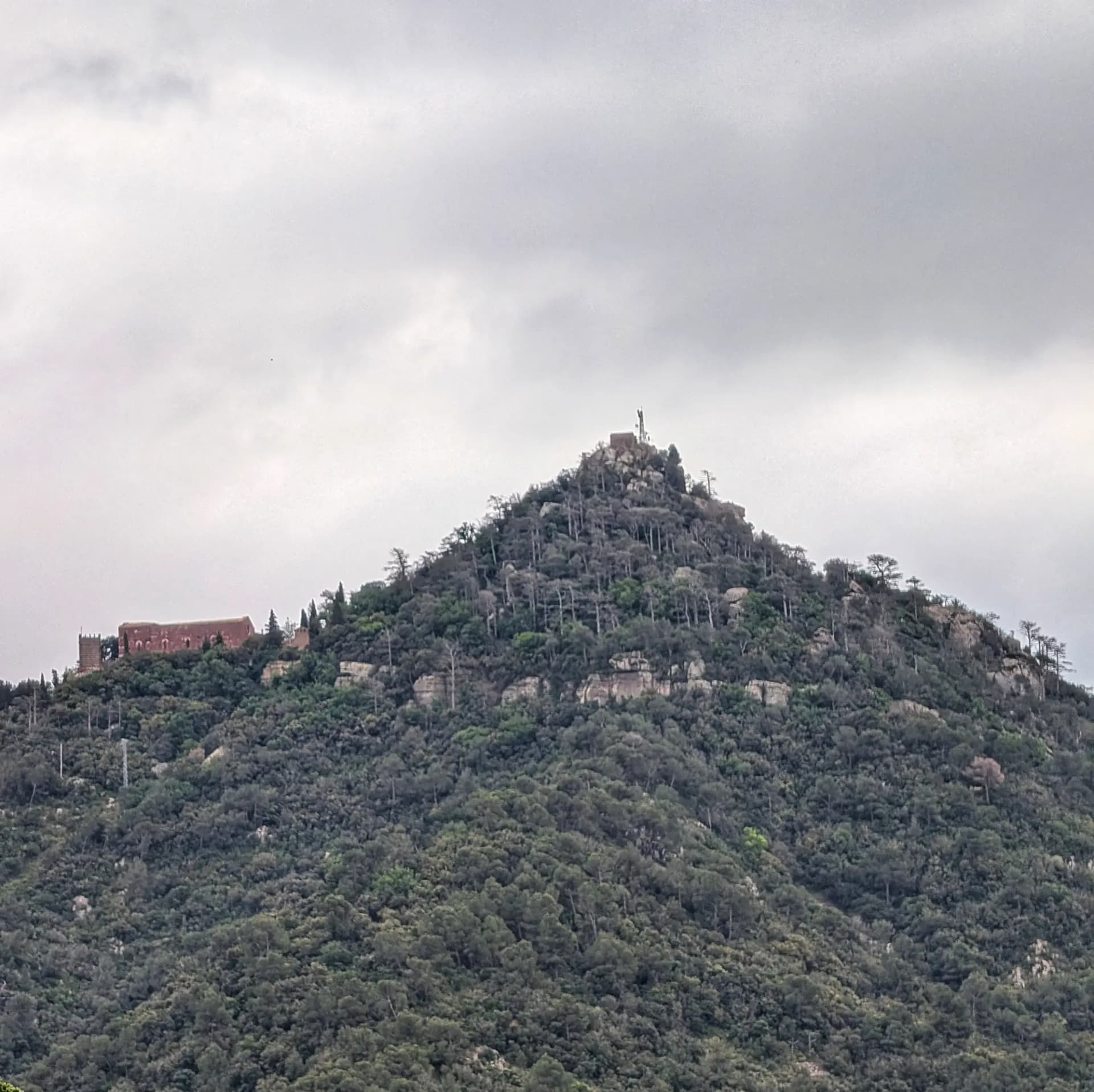 Castell Monestir d'Escornalbou en un cim arborat sota cel gris, vist des de l'Argentera.